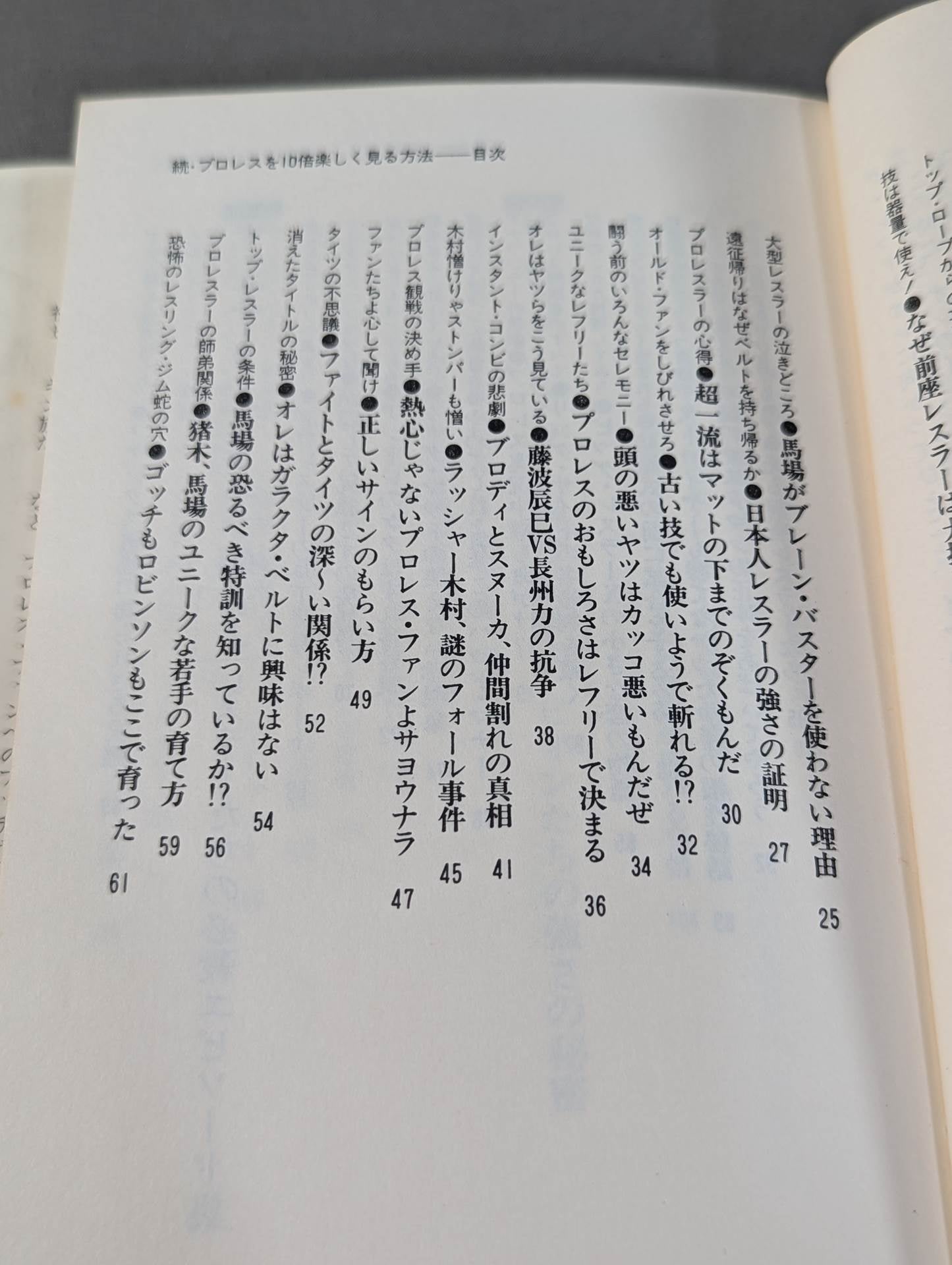 続・プロレスを10倍楽しく見る方法