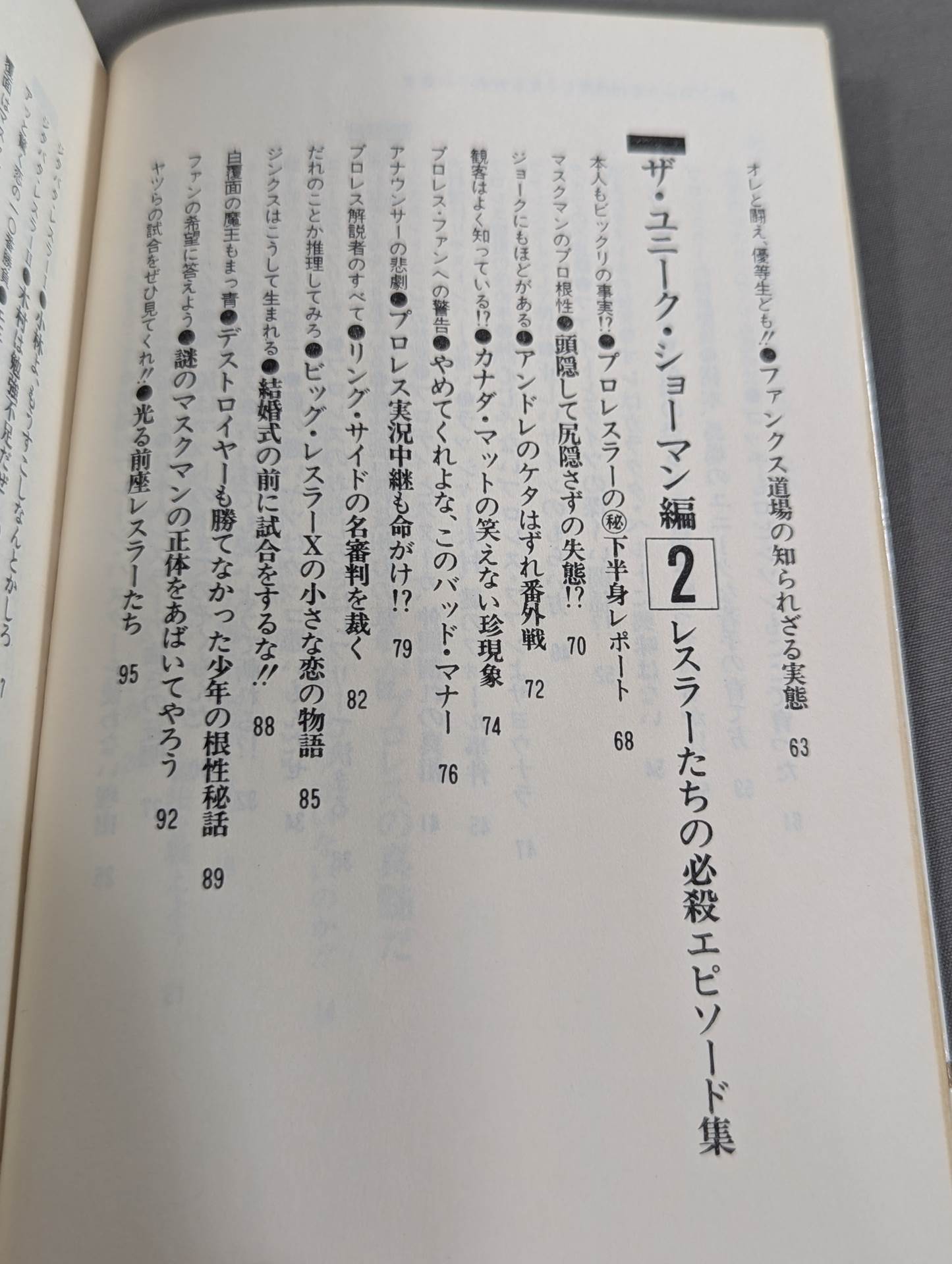 続・プロレスを10倍楽しく見る方法