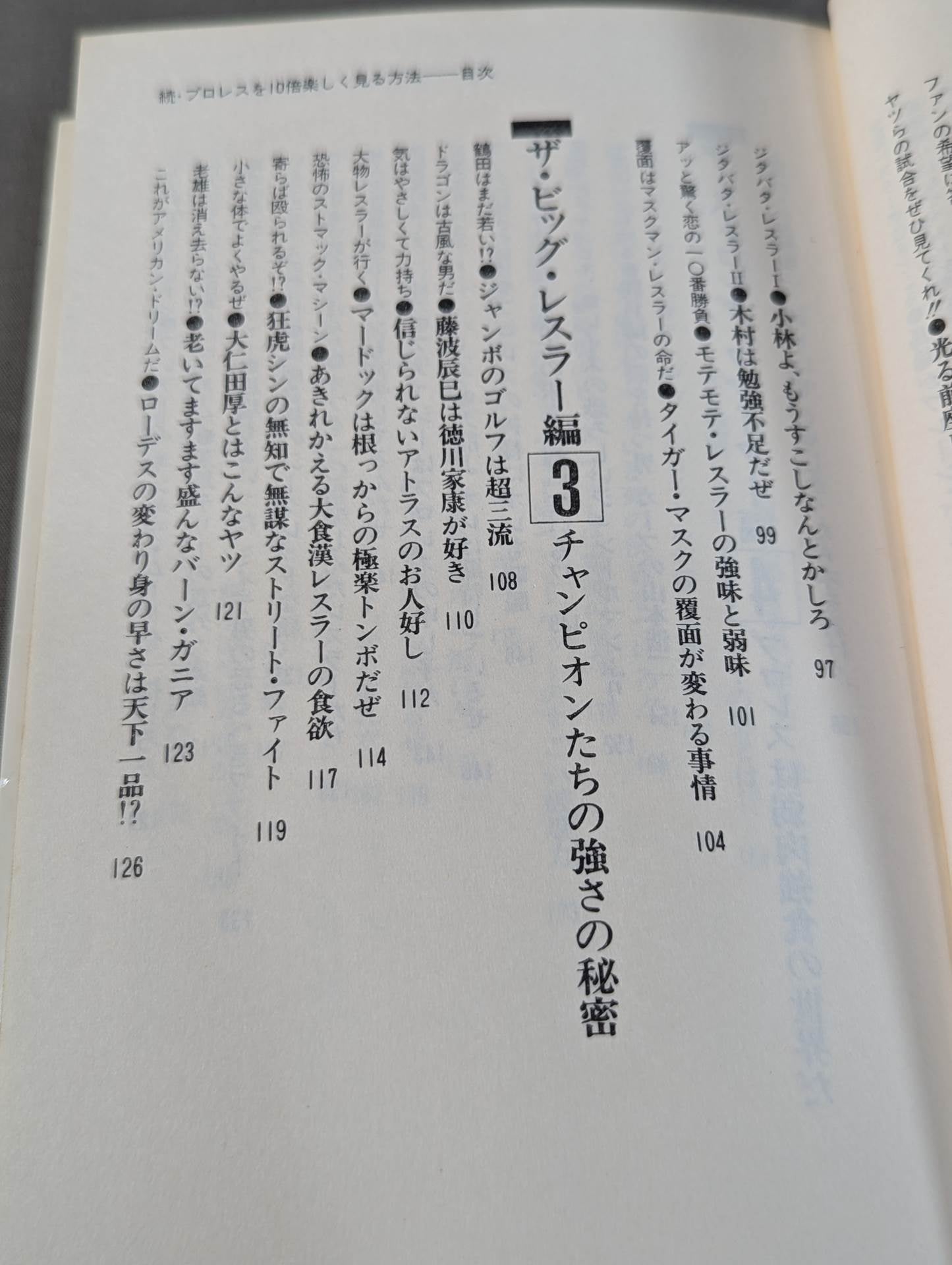 続・プロレスを10倍楽しく見る方法