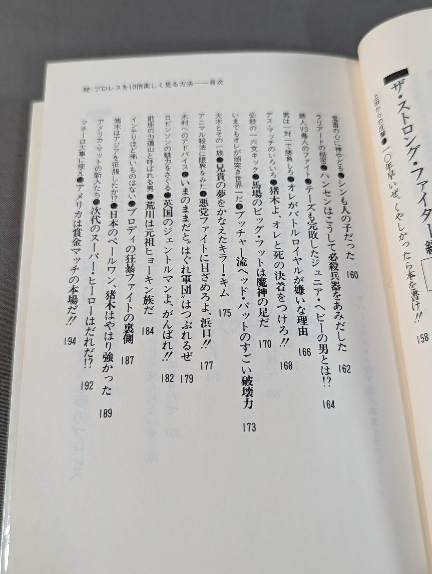 続・プロレスを10倍楽しく見る方法