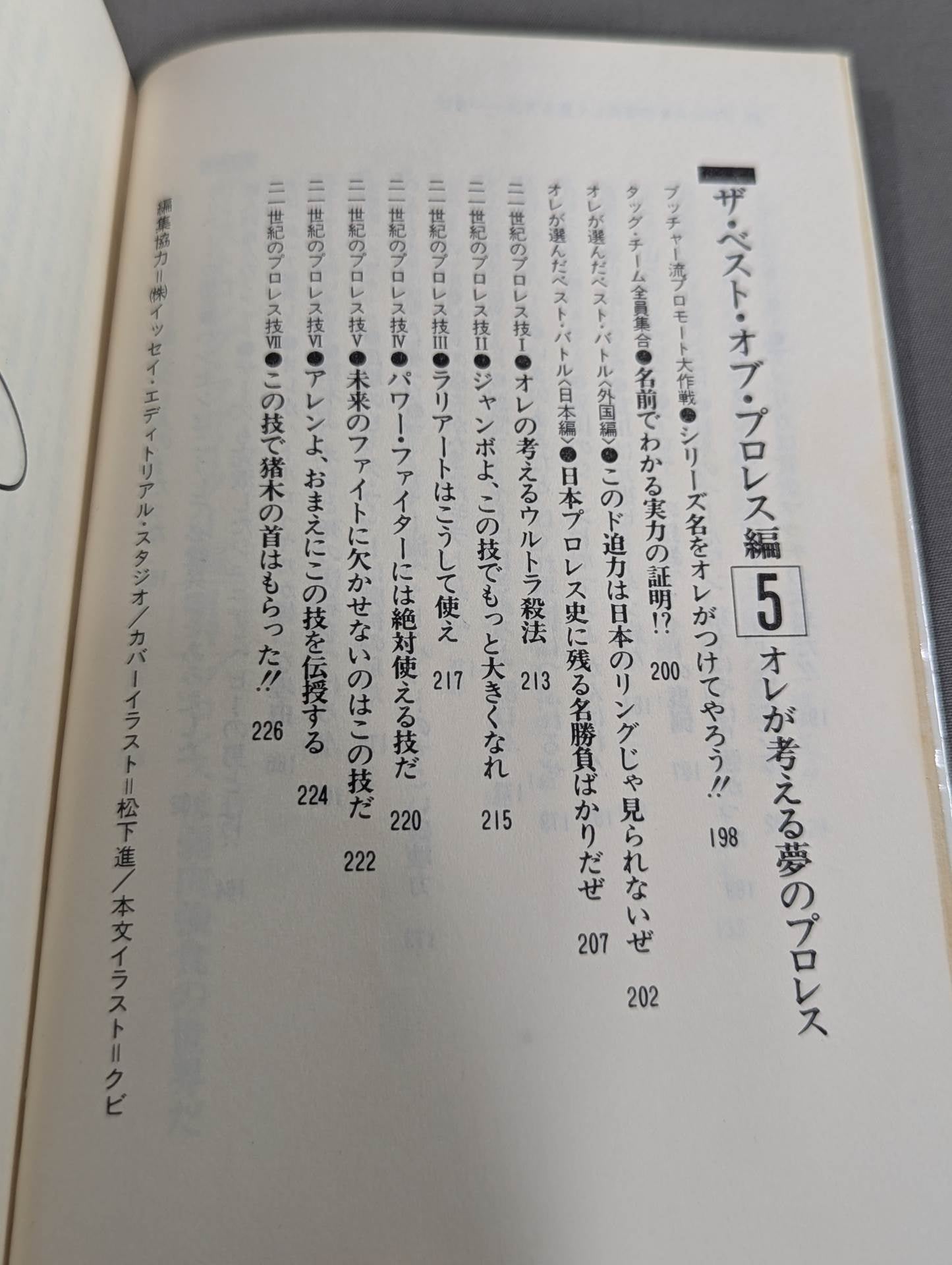 続・プロレスを10倍楽しく見る方法