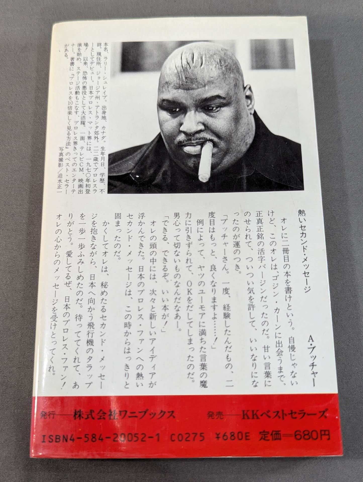 続・プロレスを10倍楽しく見る方法