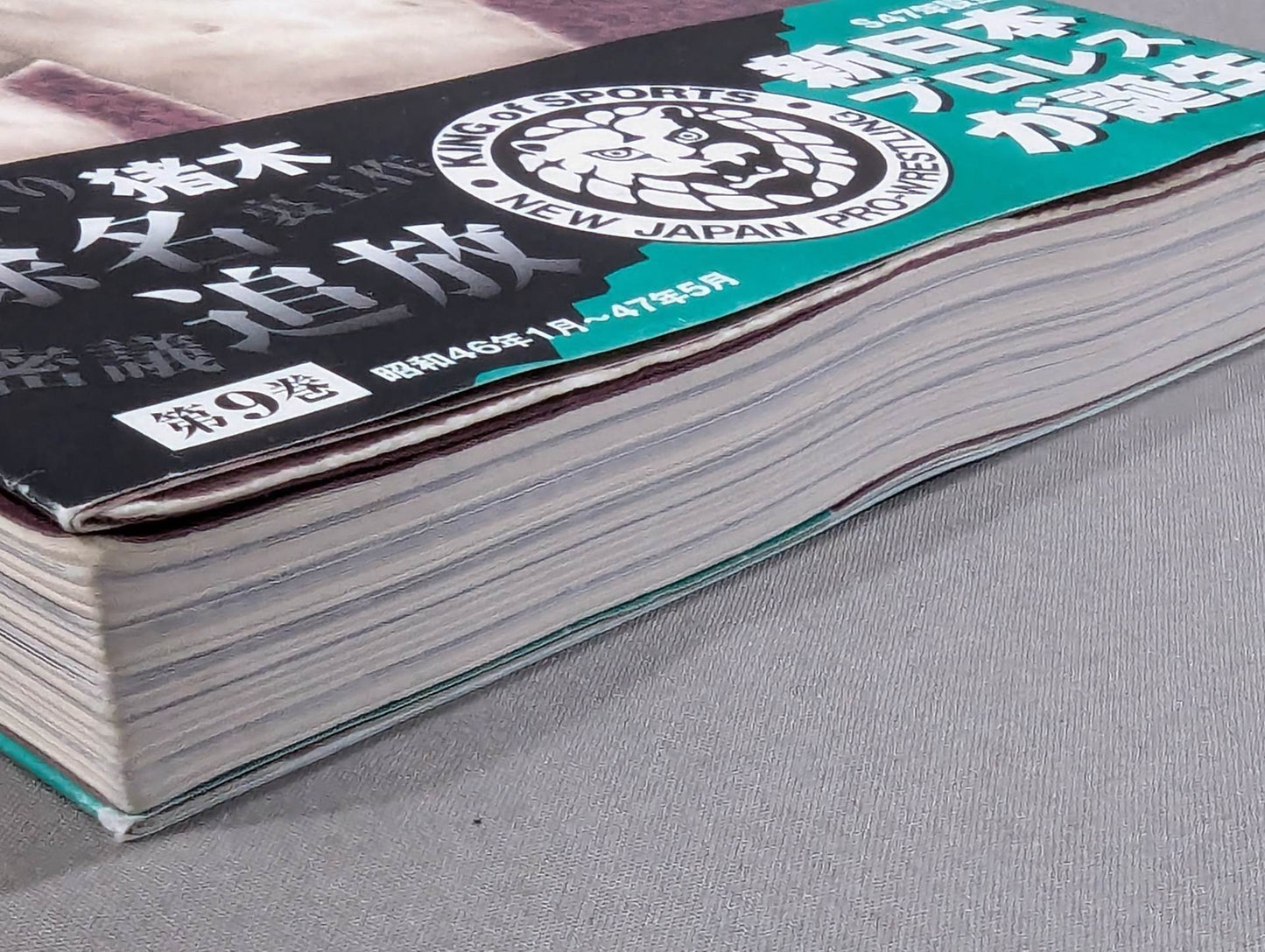 Geki Baba and Inoki Vol. 9 / New Japan Pro Wrestling raises the flag of hardship