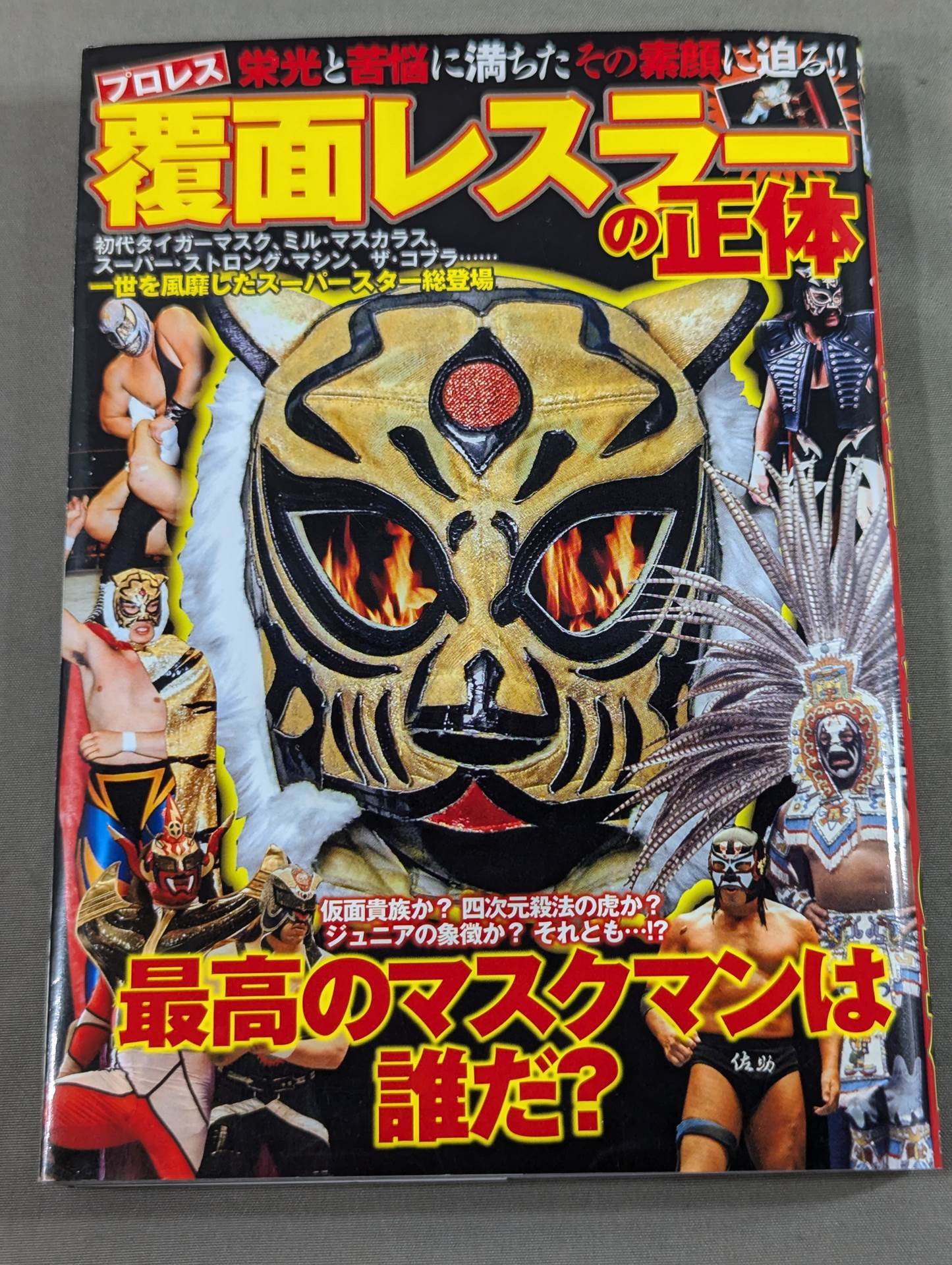 プロレス 覆面レスラーの正体 – 闘道館