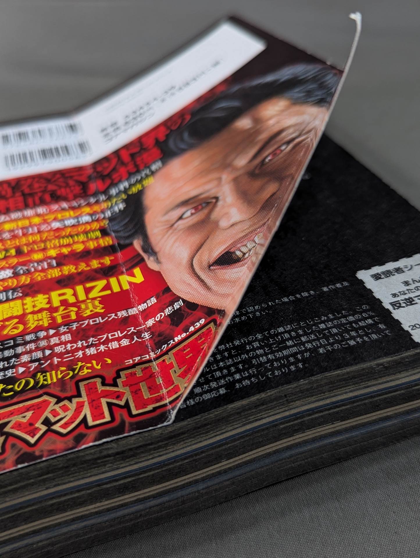 Manga Rebellion Mat World You Don't Know