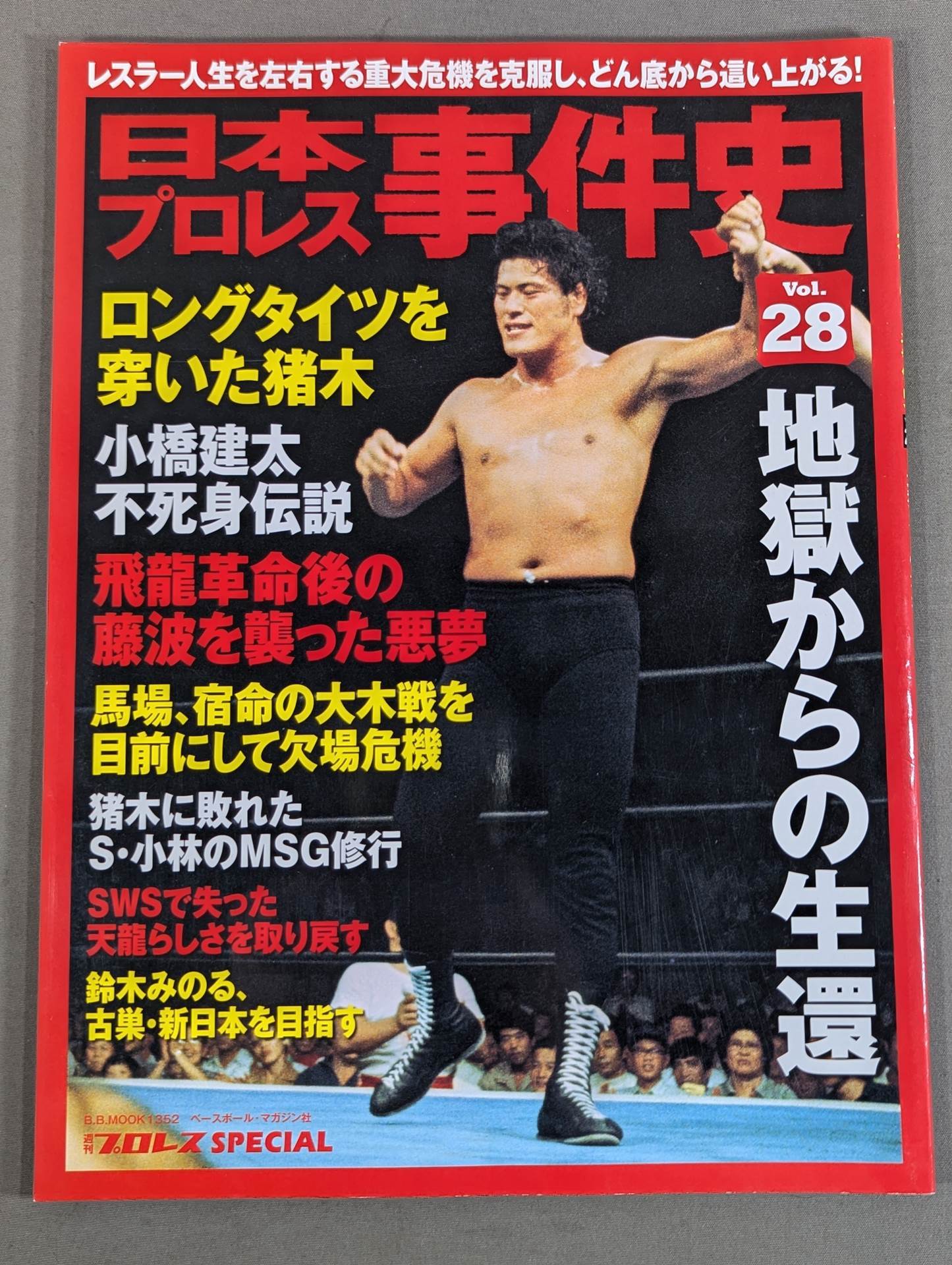 Japan Pro Wrestling Case History Vol.28 Survival from Hell