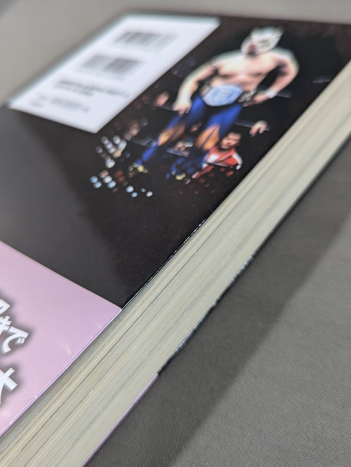 Showa Pro Wrestling : The truth behind the labyrinthine incident Final conclusion in the YouTube era