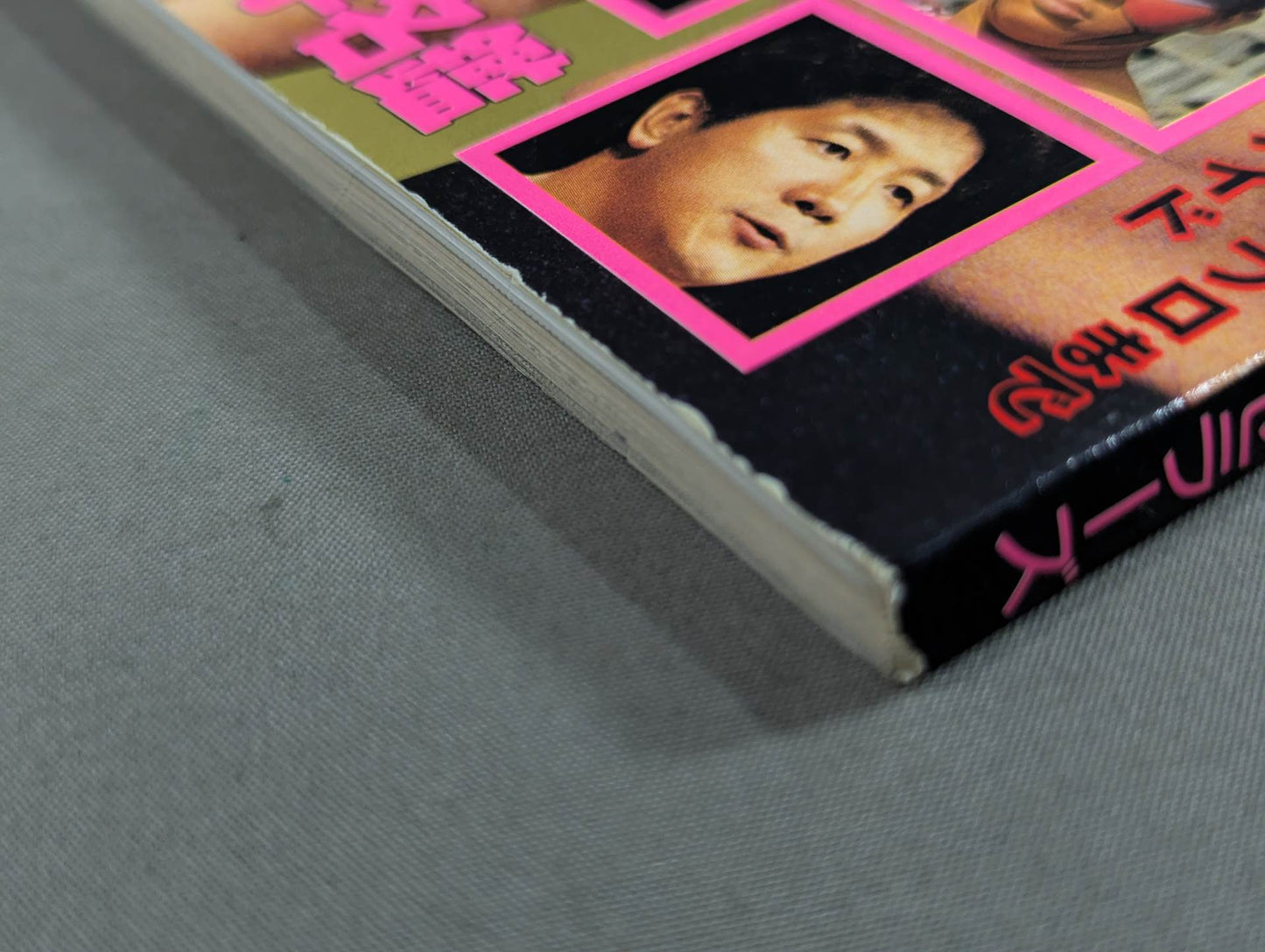 95Pro Wrestling Yearbook SUPER HAND BOOK!