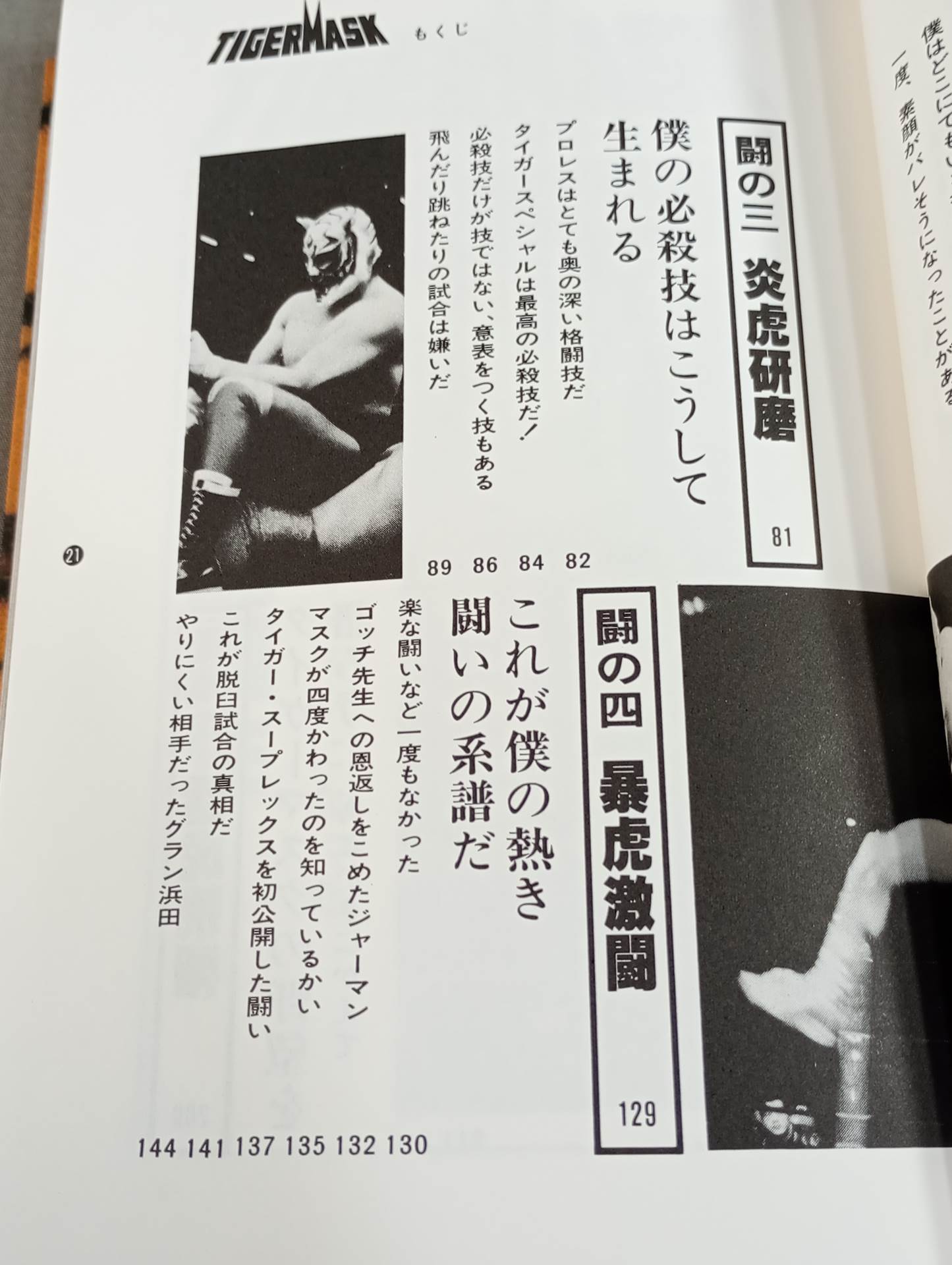 Shobe Tiger Mask