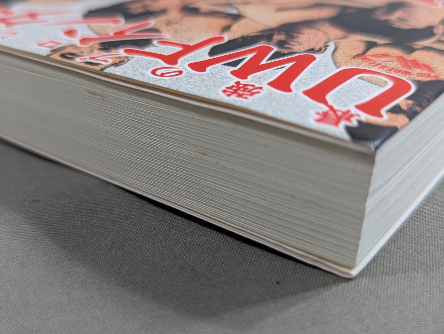 The strongest Pro Wrestling promotion The Truth About UWF Inter ~Dreams and 100 Million Yen~