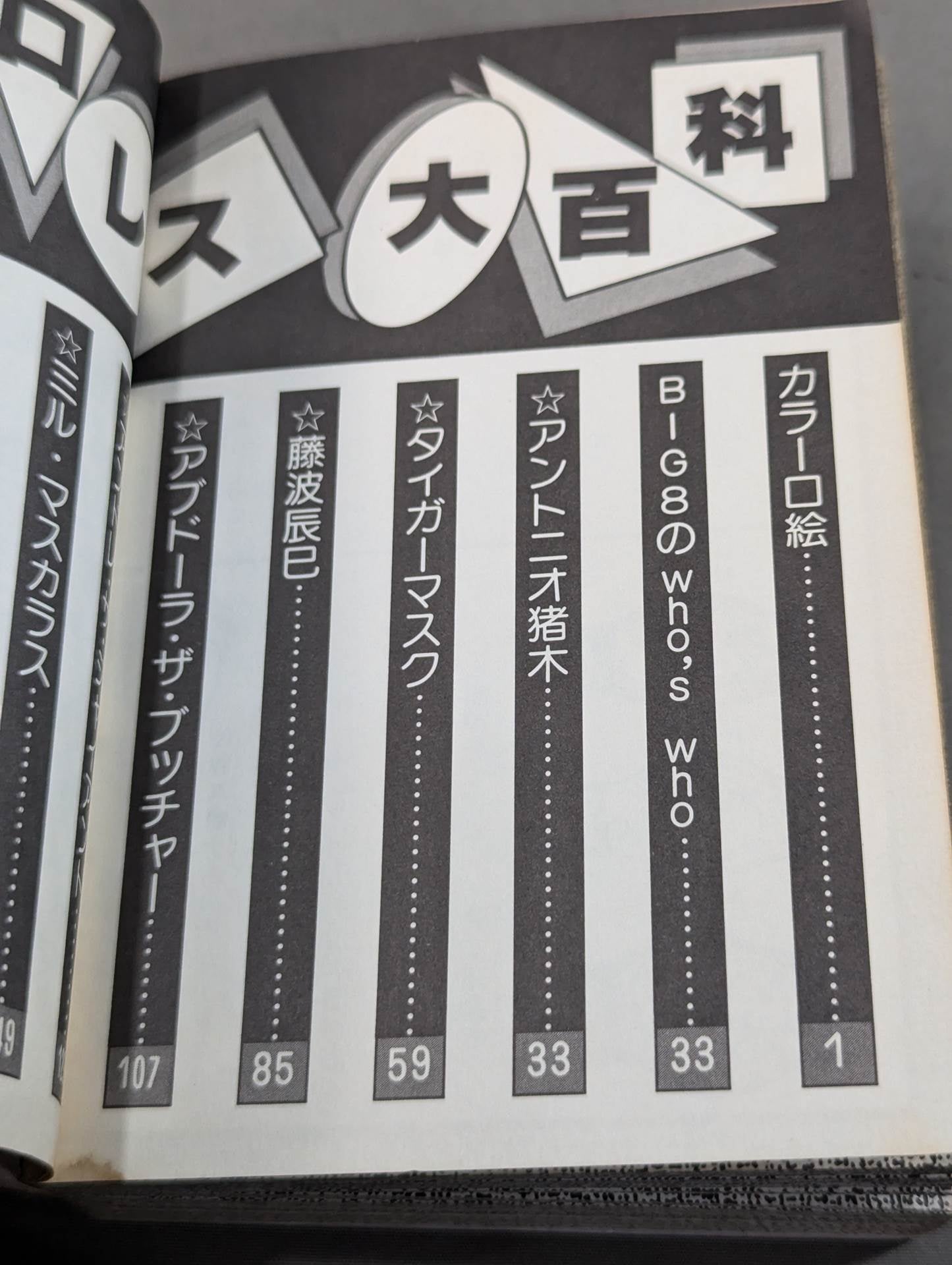 プロレス大百科Part.2 / 現在人気・実力最高の8人を徹底解剖!!