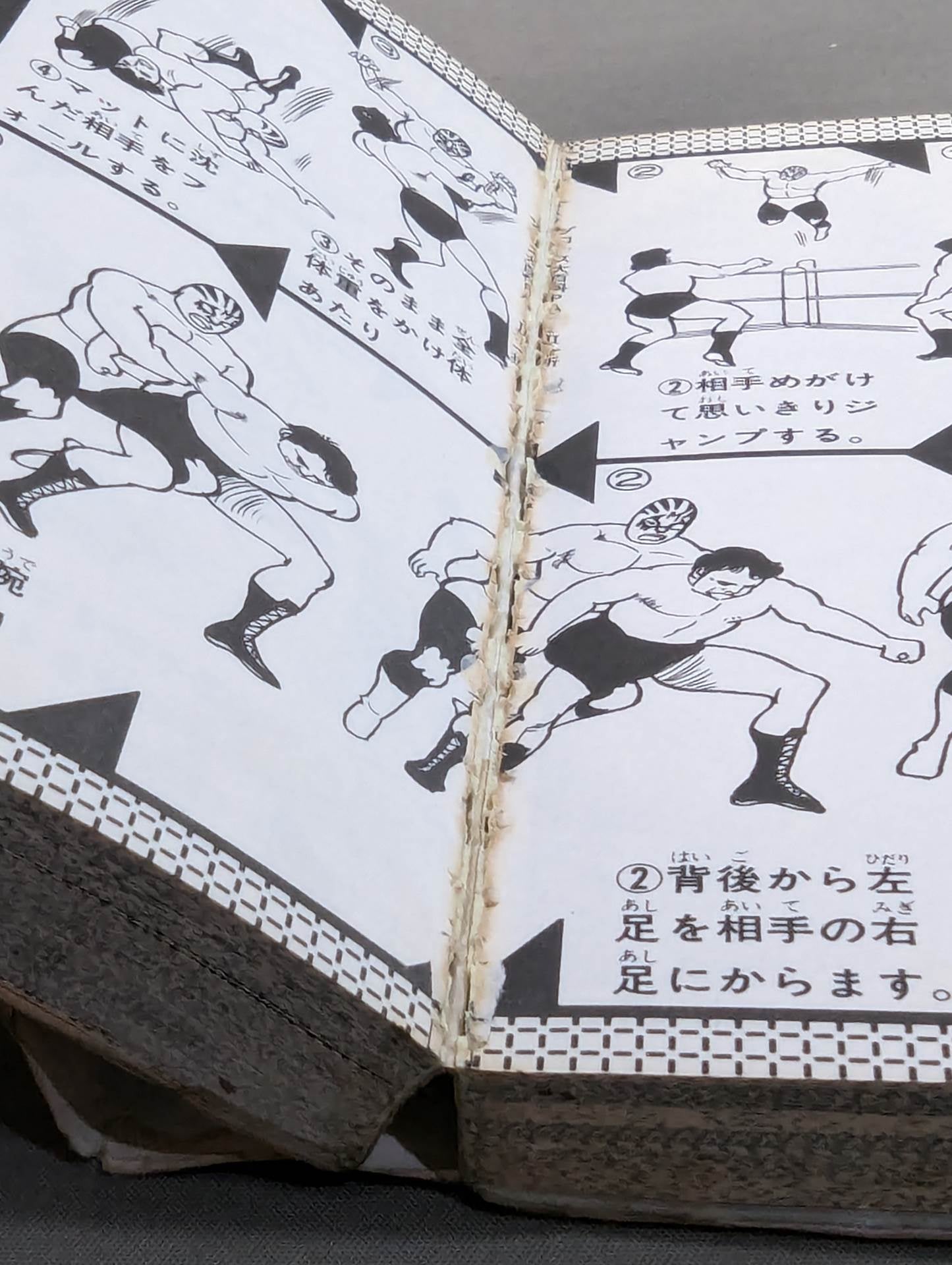 プロレス大百科Part.2 / 現在人気・実力最高の8人を徹底解剖!!