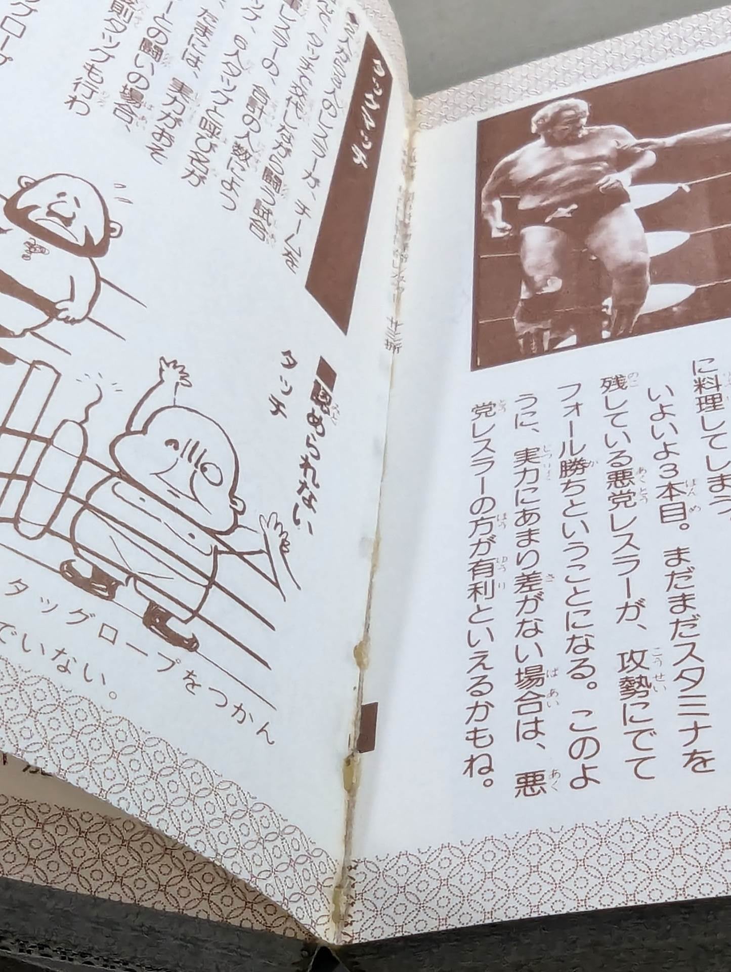 超百科シリーズ① 怪物怪人プロレス超百科