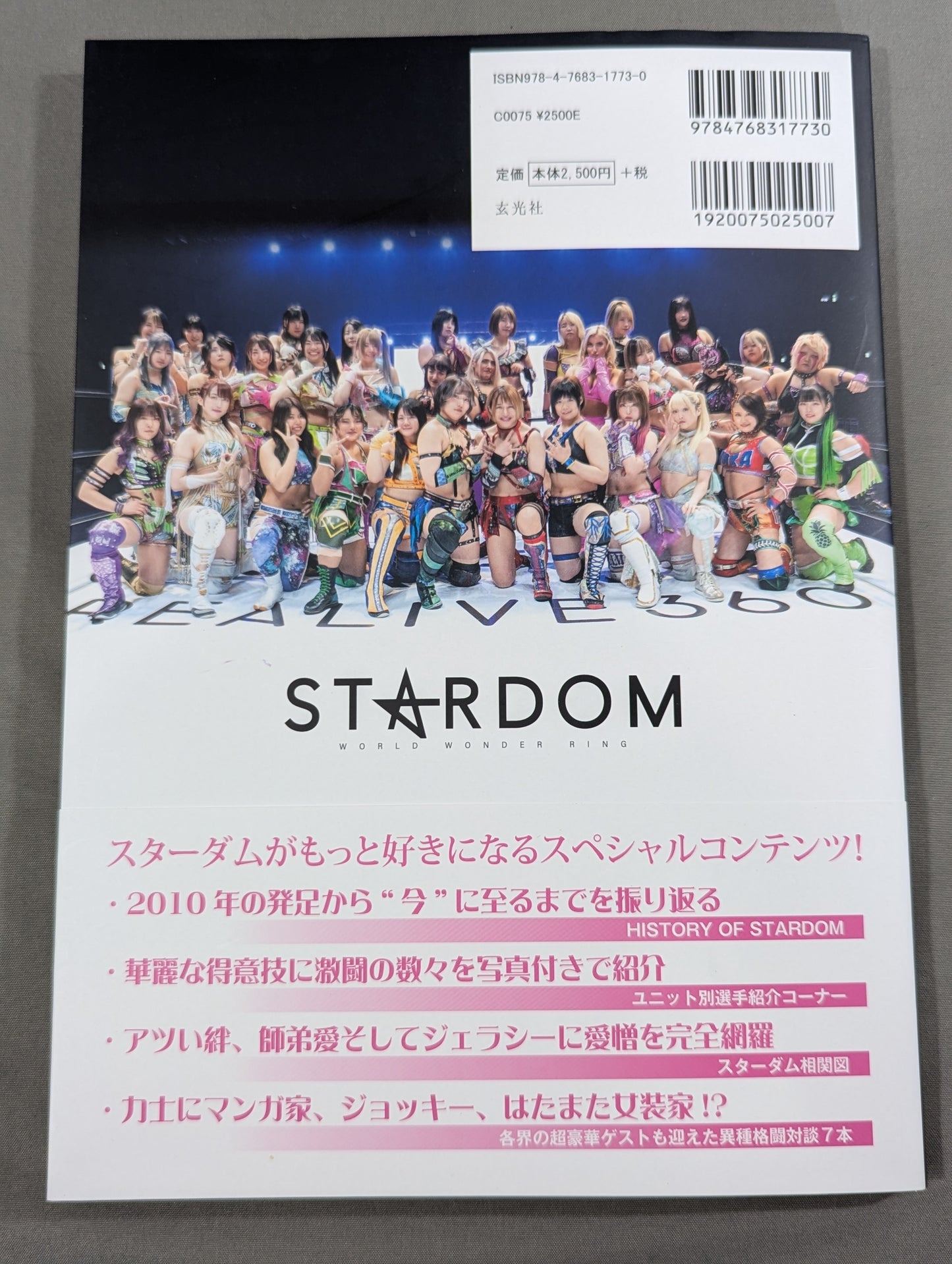 スターダム ファンブック2 STARDOM FANBOOK 2