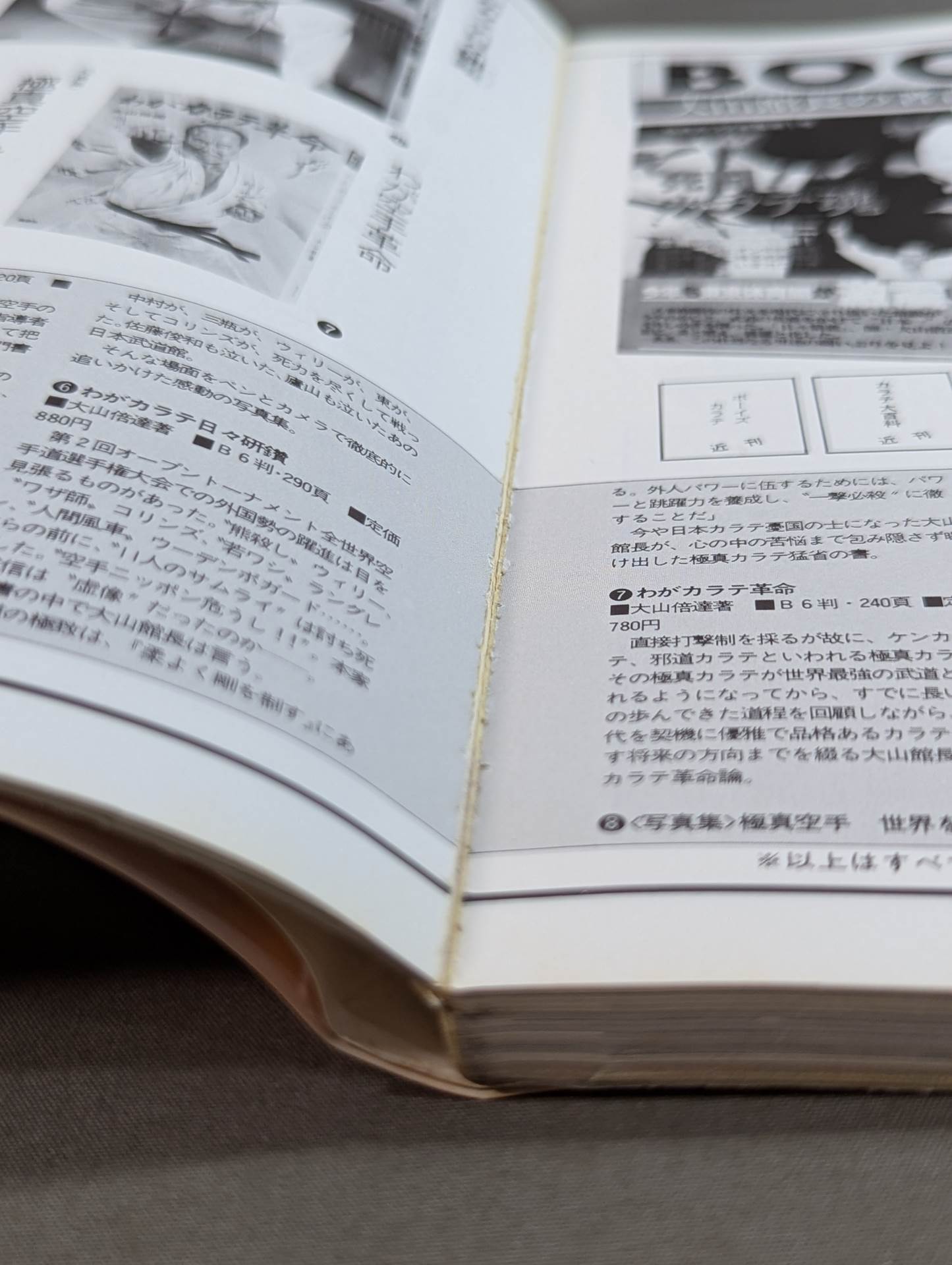 Kyokushin KARATE Yearbook No. 2 Burn! Kyokushin Soul