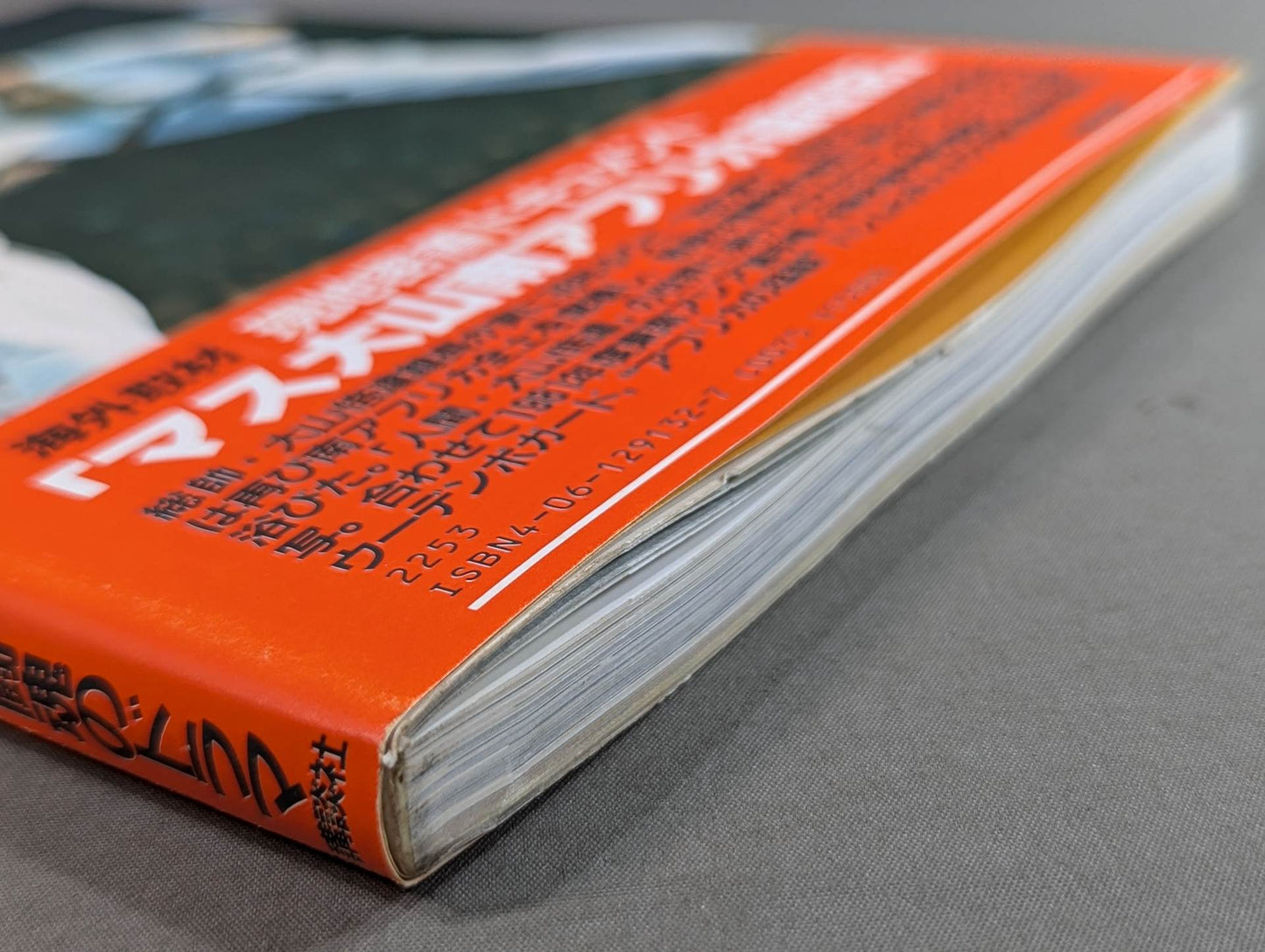 Kyokushin KARATE Yearbook No. 2 Burn! Kyokushin Soul