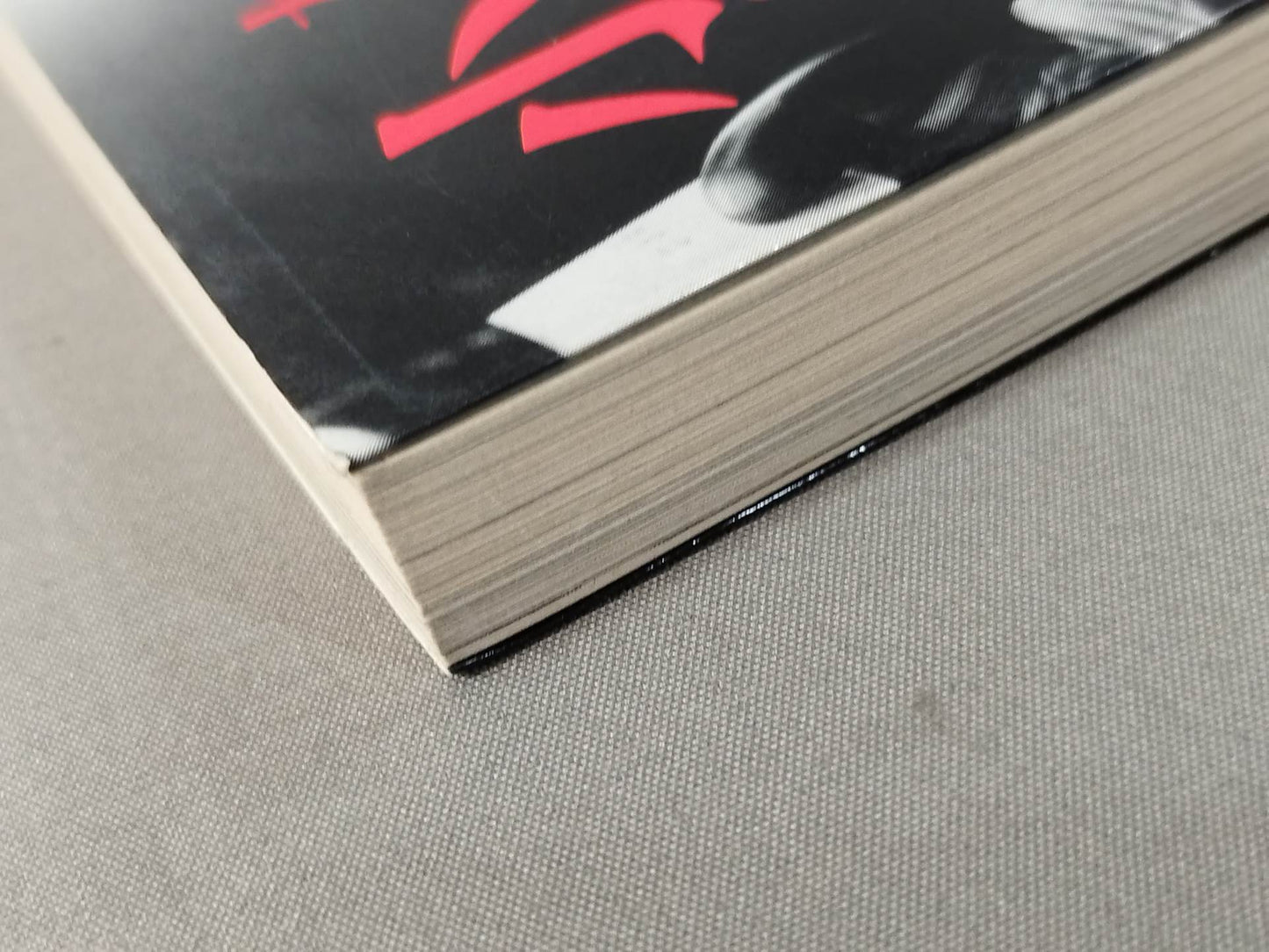 【初版】小さな巨人 大沢昇伝