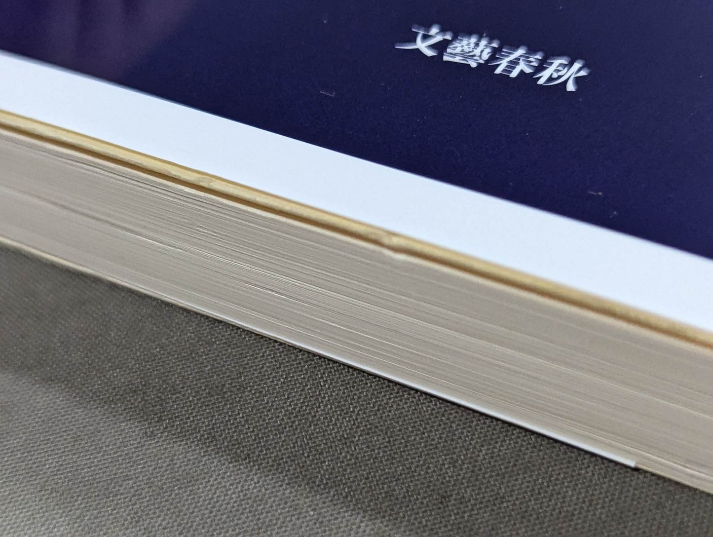 Antonio Inoki Fighting Spirit Gene