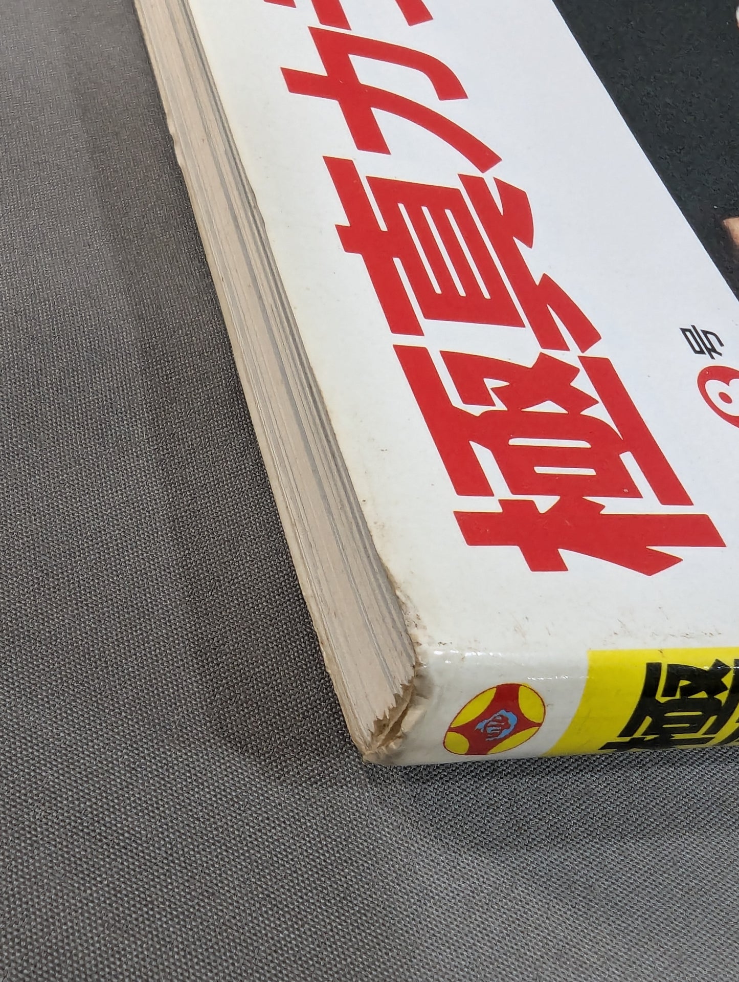 Kyokushin KARATE  Yearbook No.8 Kyokushin Soul Gathering in Japan