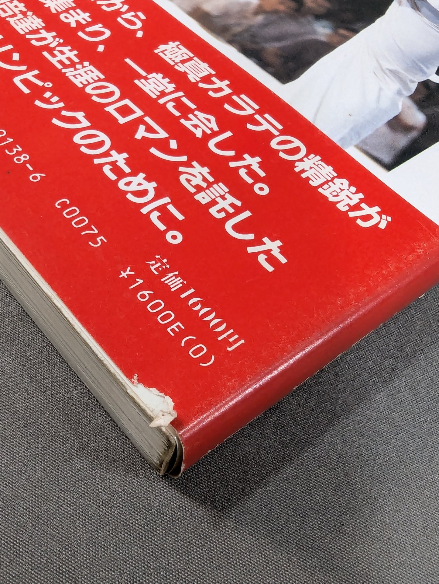 Kyokushin KARATE  Yearbook No.8 Kyokushin Soul Gathering in Japan