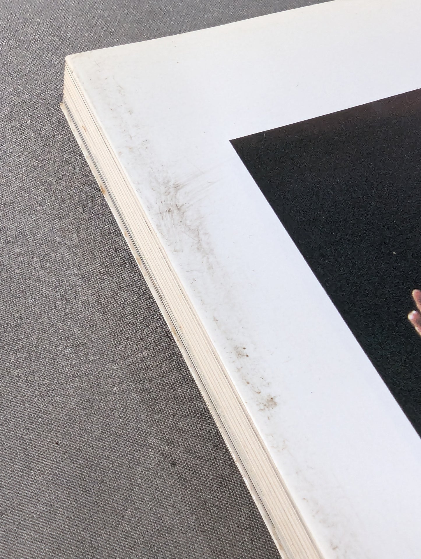 Kyokushin KARATE  Yearbook No.8 Kyokushin Soul Gathering in Japan