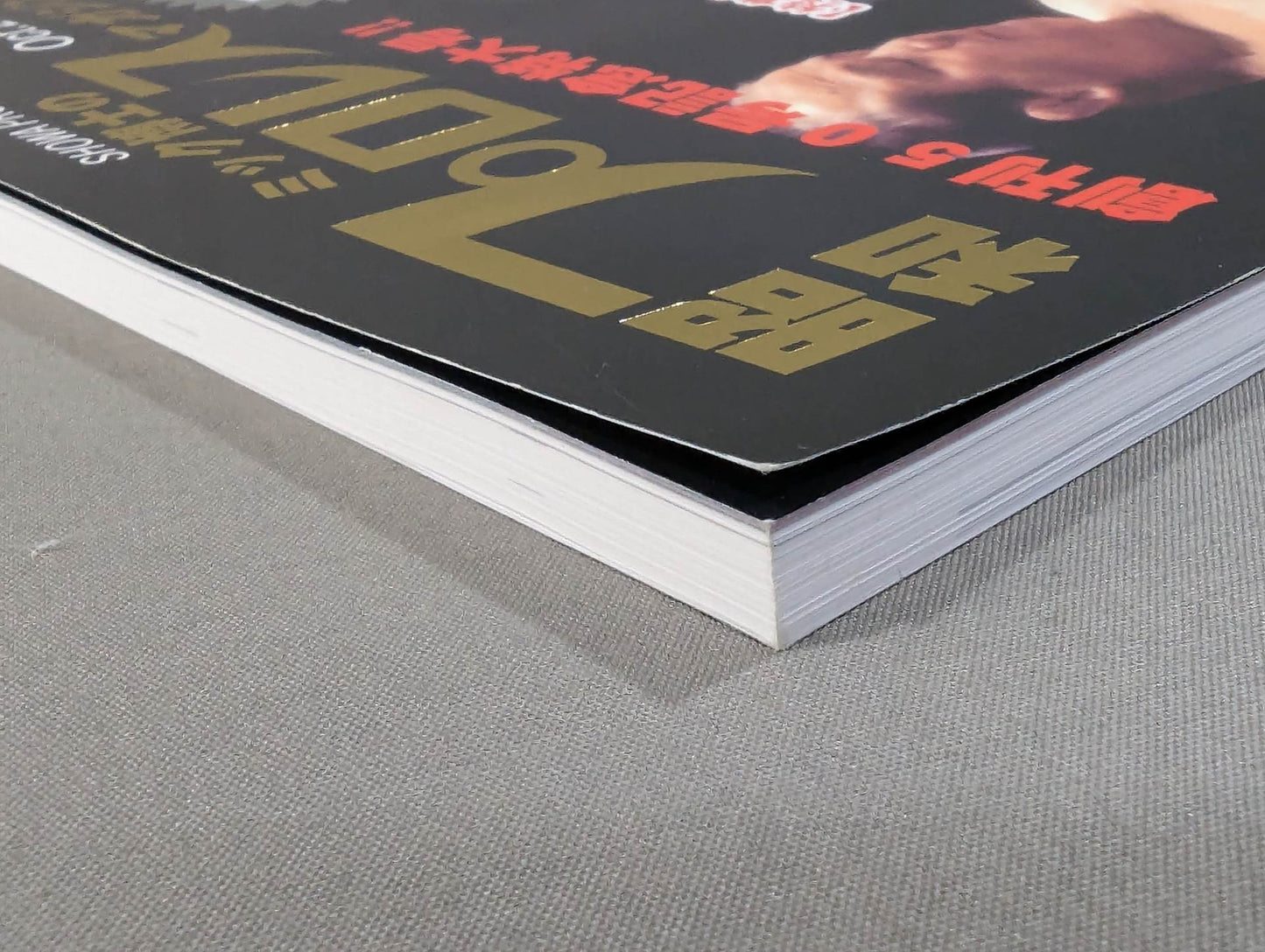 Dr. Mick's Showa Pro Wrestling Magazine No. ★ 50 Special Feature Showa Pro Wrestling Unsolved Case File ★