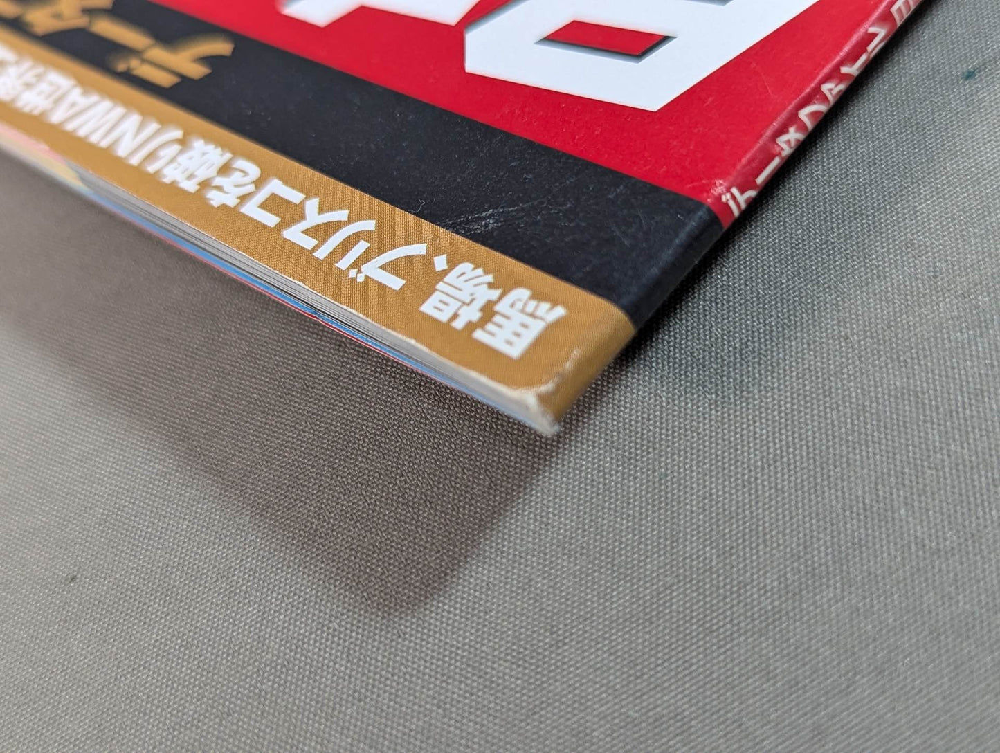 60 years of Japan Pro Wrestling (16)
