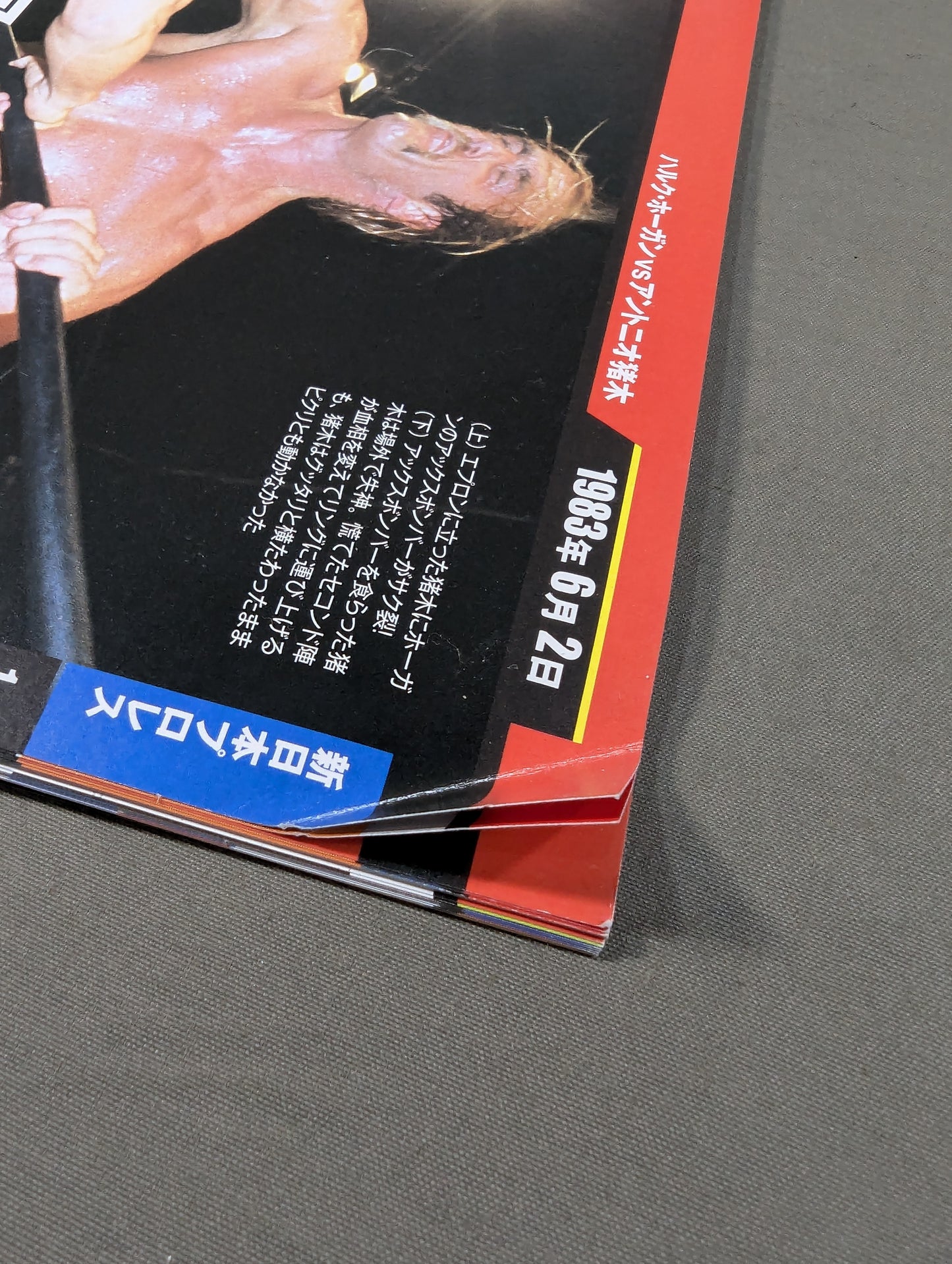日本プロレス激闘60年史 (17)
