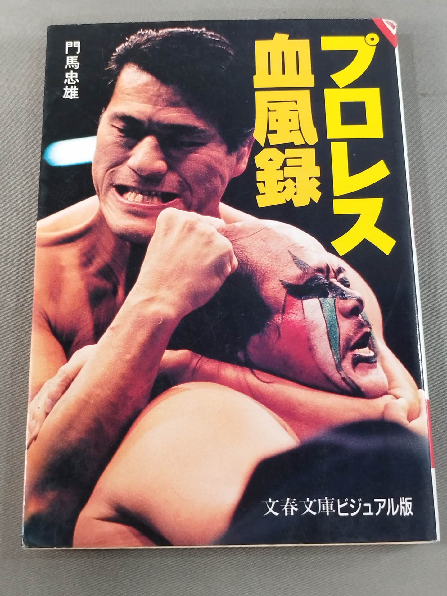 Pro Wrestling