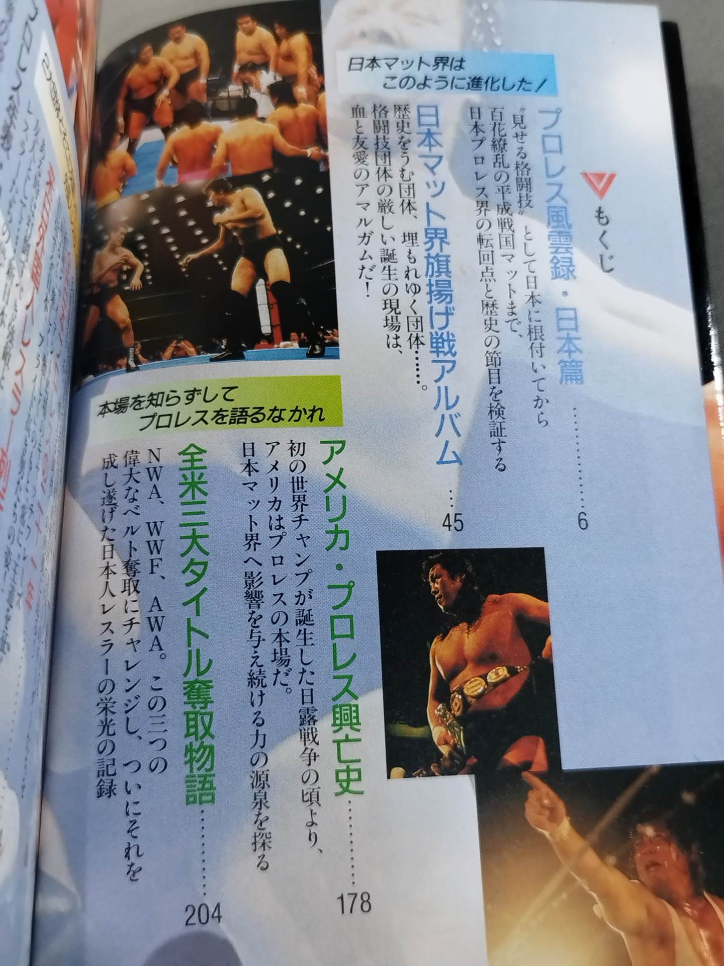 Pro Wrestling