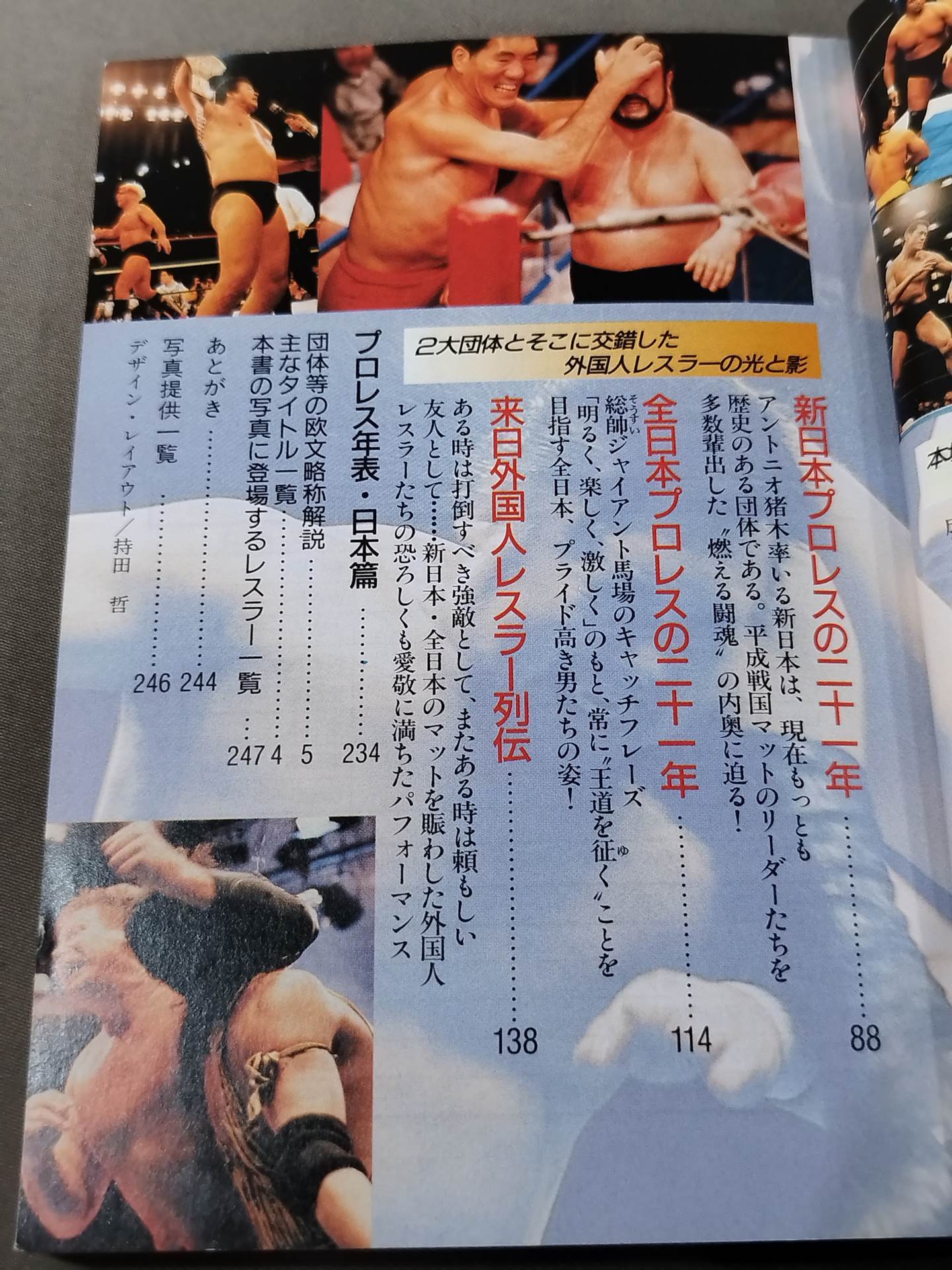 Pro Wrestling