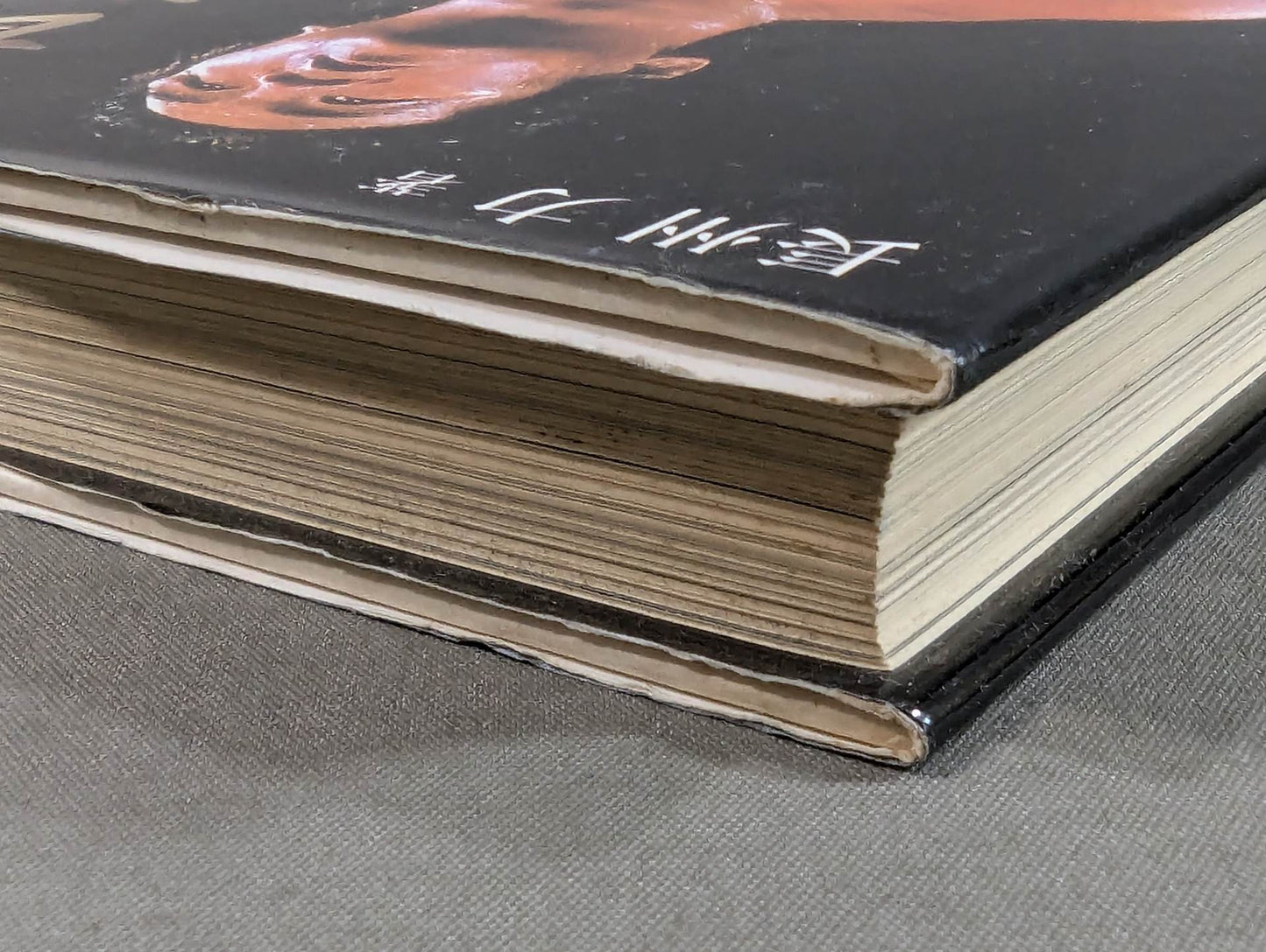 Farewell, Riki Choshu (reprint)