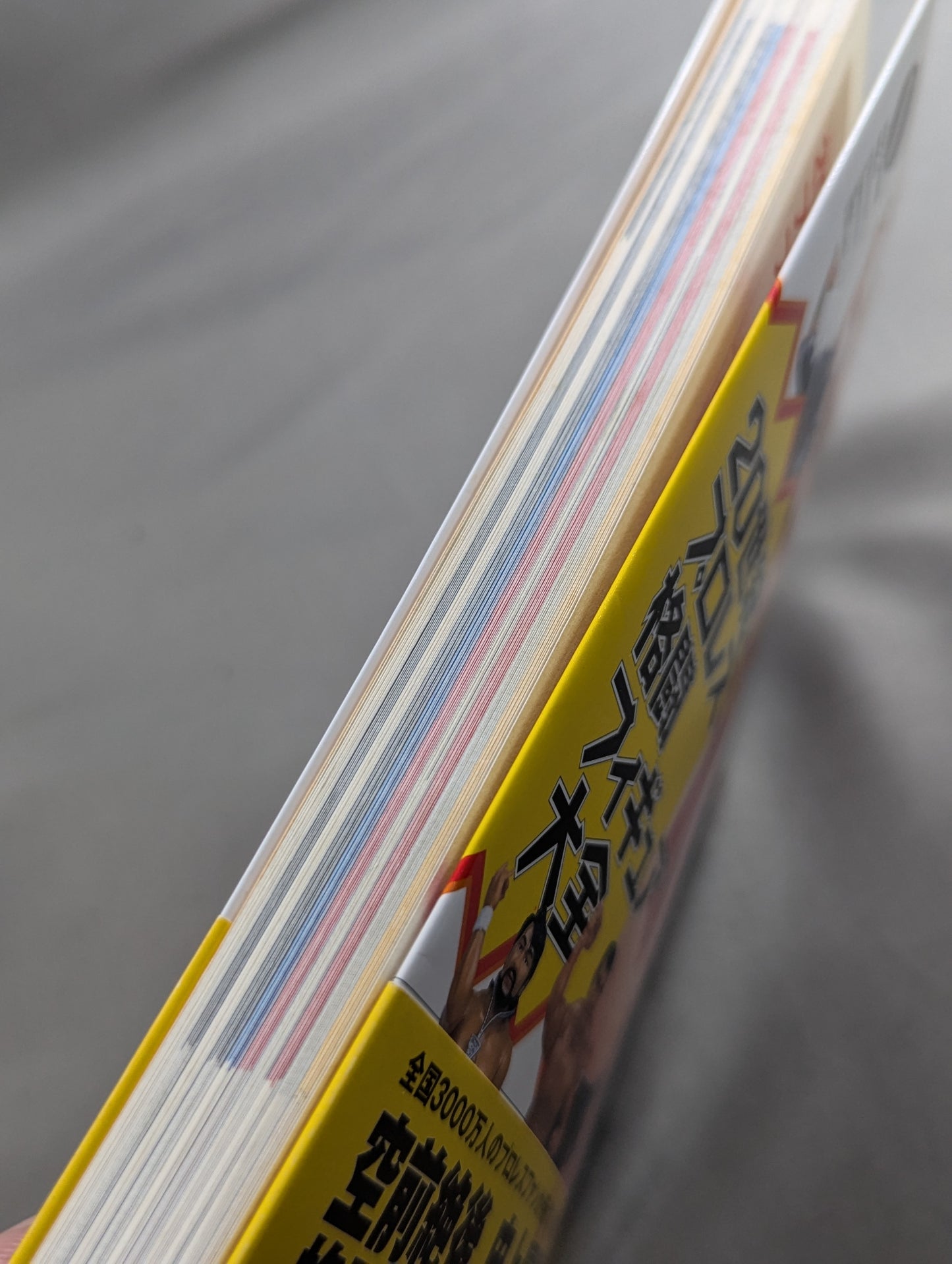 20th Century Pro Wrestling Fighting Figure Encyclopedia