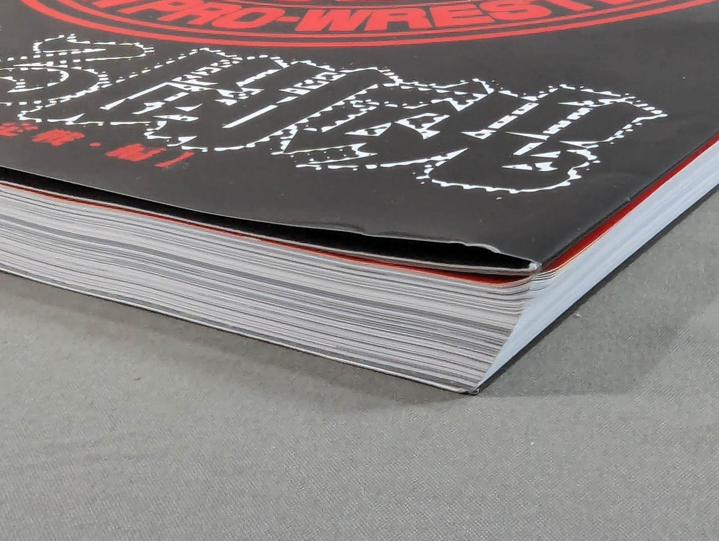 燃える闘魂 新日本プロレスリング30周年記念出版企画 公式復刻版パンフレットシリーズ 格闘技世界一決定戦・編