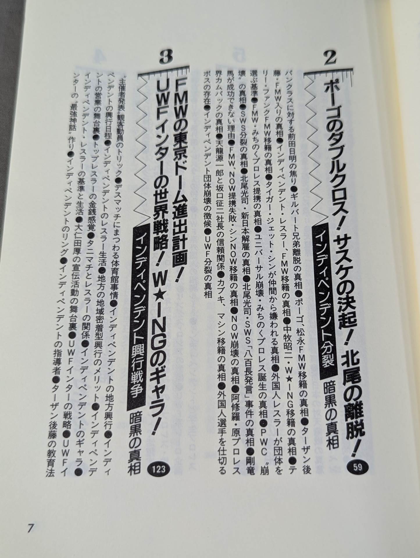 Pocket Book 62 Atsushi Onita UWF "Darkness The Truth About Pro Wrestling