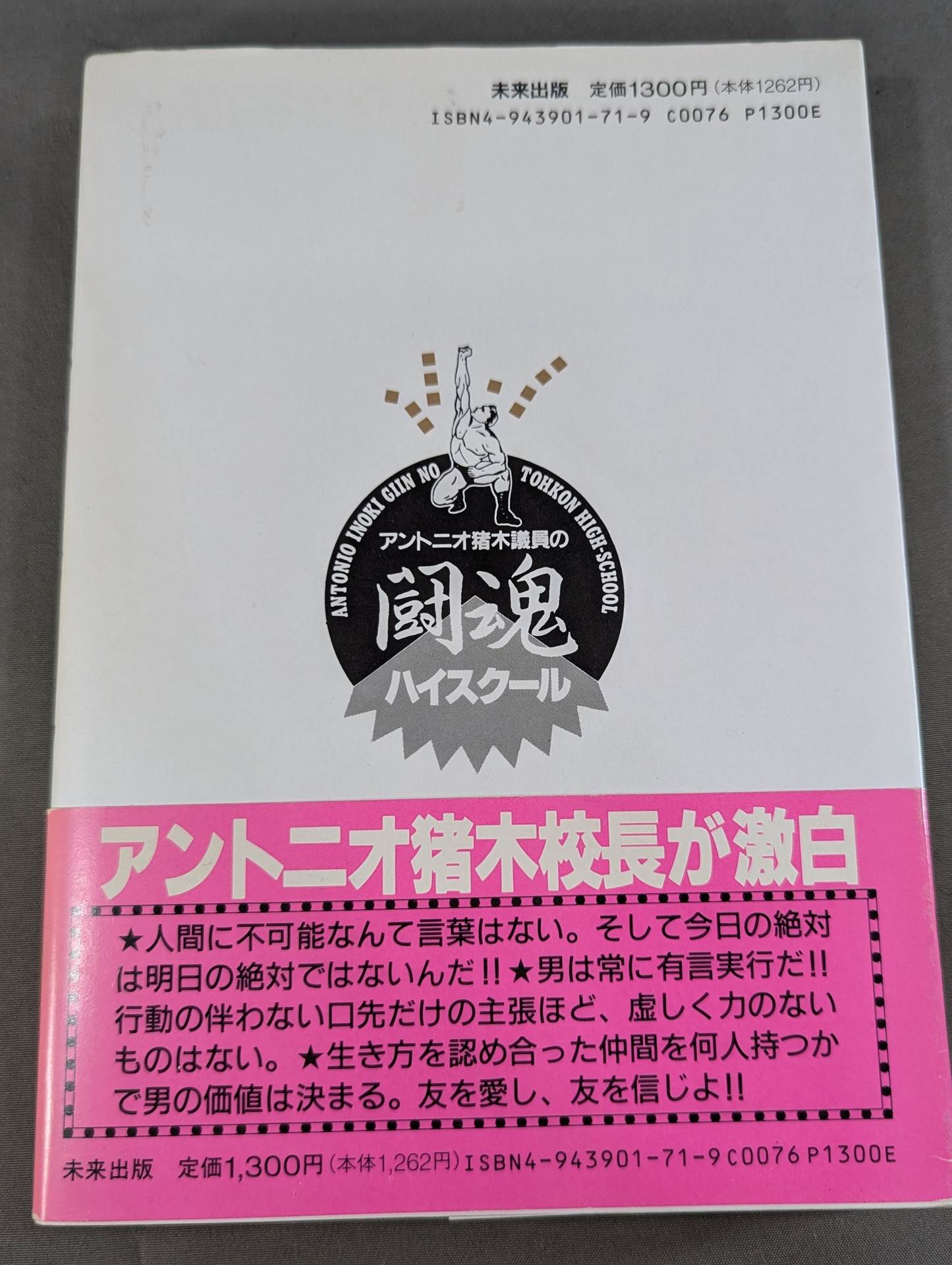 Antonio Inoki Fighting Spirit High School