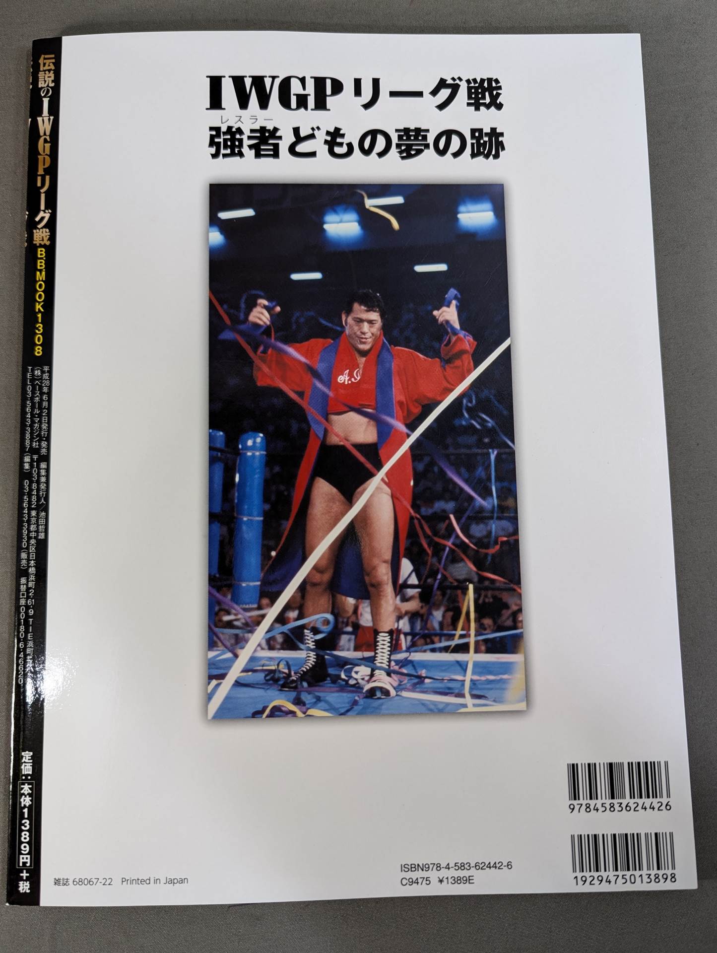 Legendary IWGP League Matches