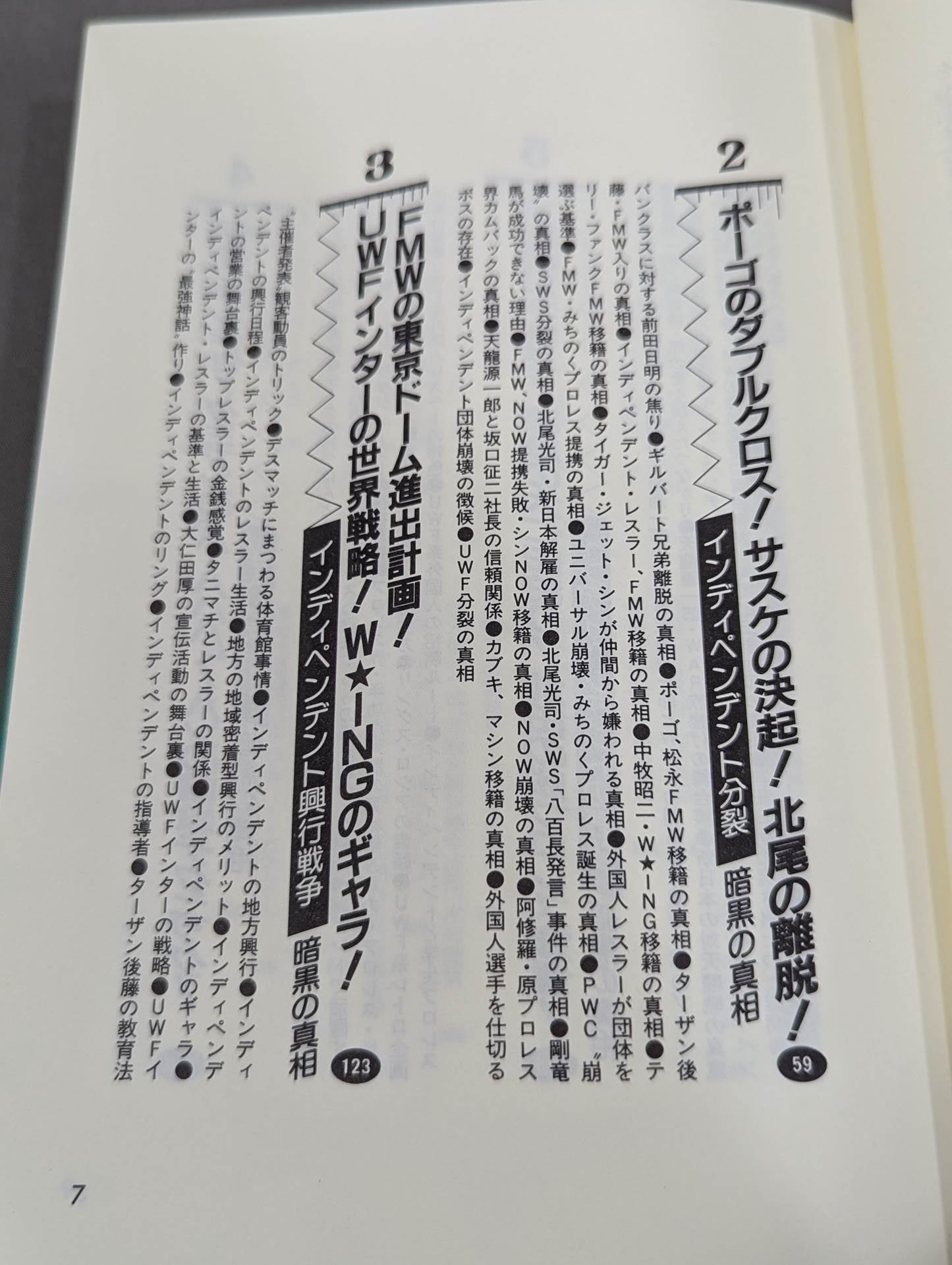 Pocket Book 62 Atsushi Onita UWF "Darkness The Truth About Pro Wrestling