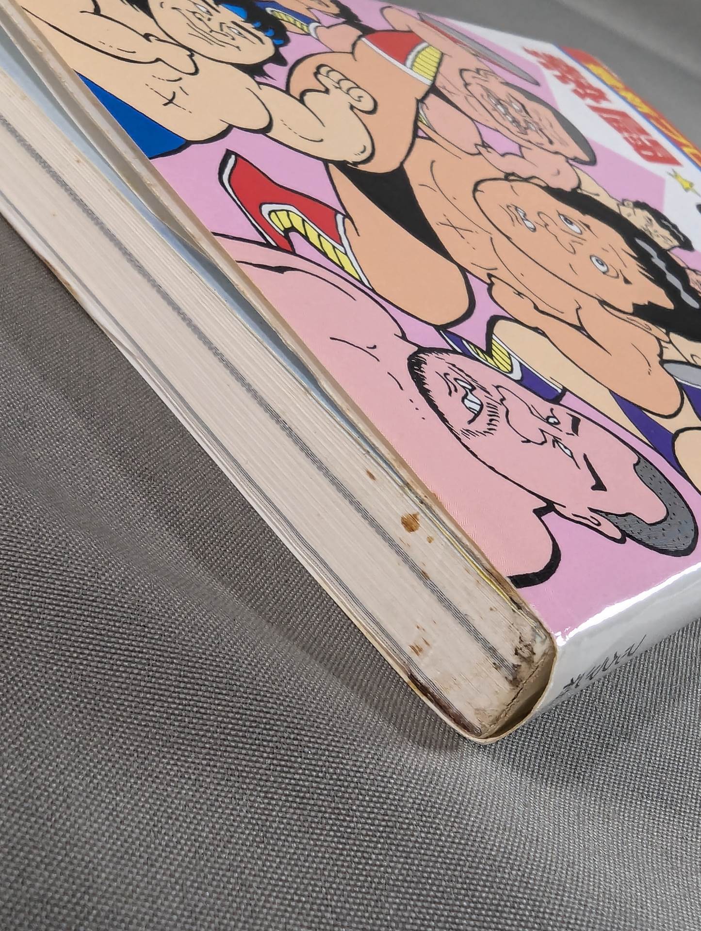 The latest Pro Wrestling encyclopedia (1) Hot Fight ☆ UWF