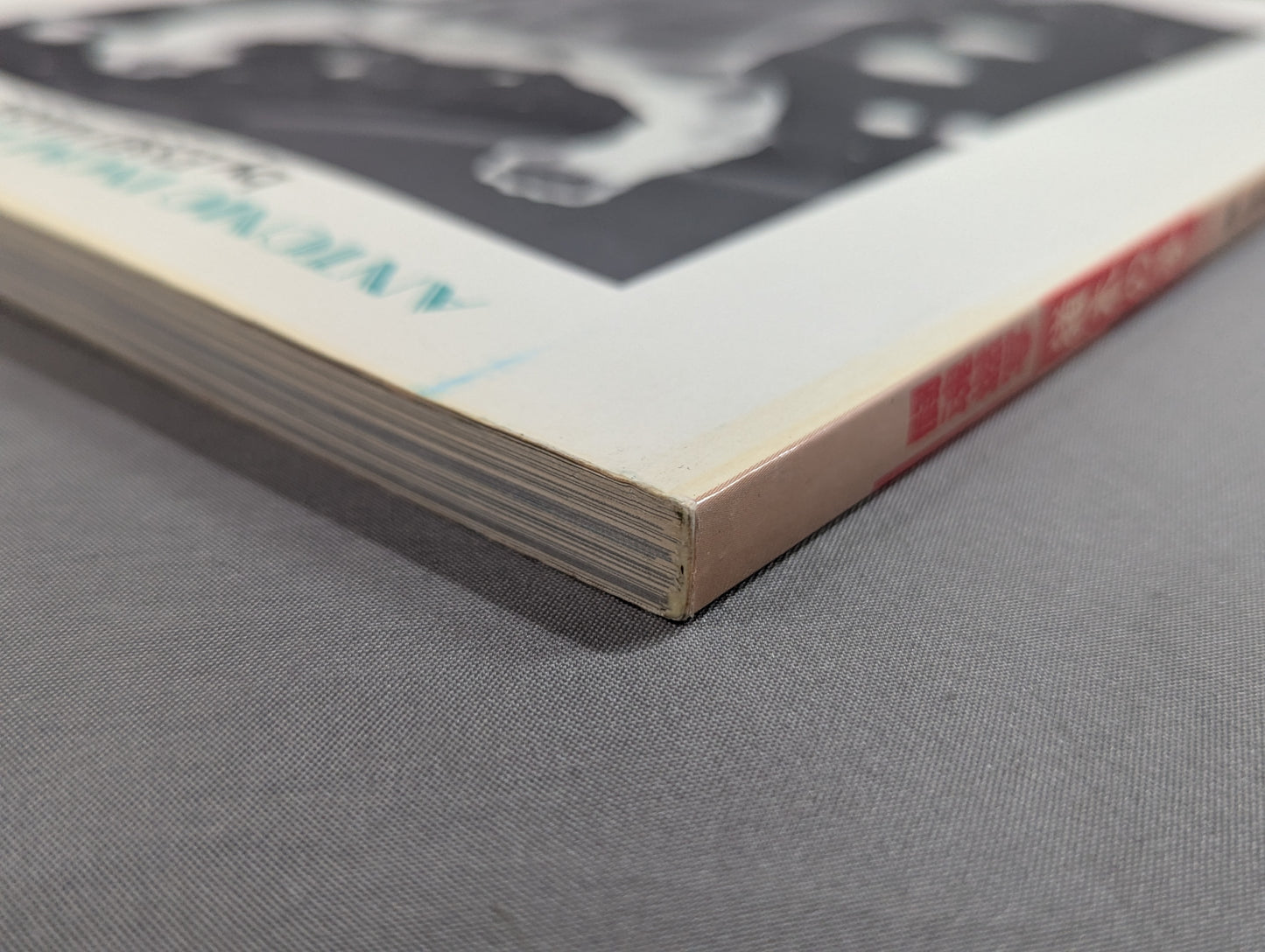 闘魂燃写 猪木の夢