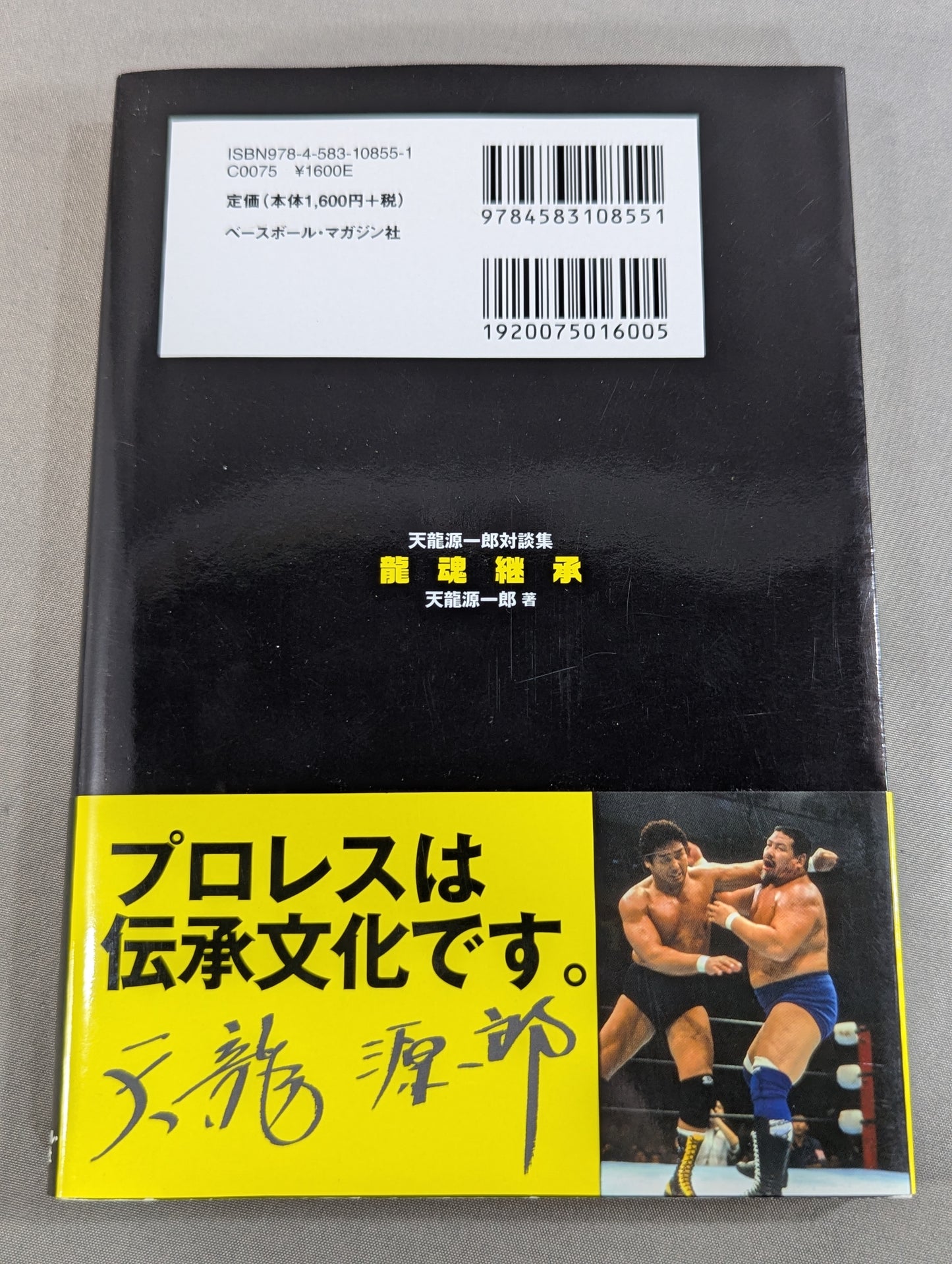 Inheritance of the Dragon Soul Tenryu Genichiro Dialogue Collection