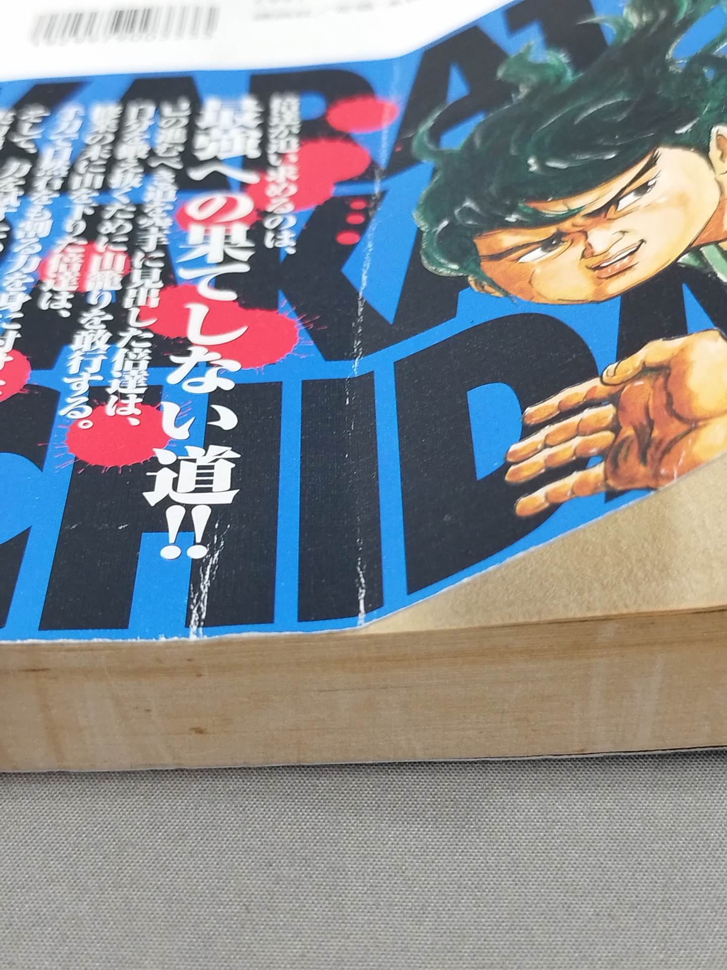 Karate for Life (Karate Baka Ichidai)