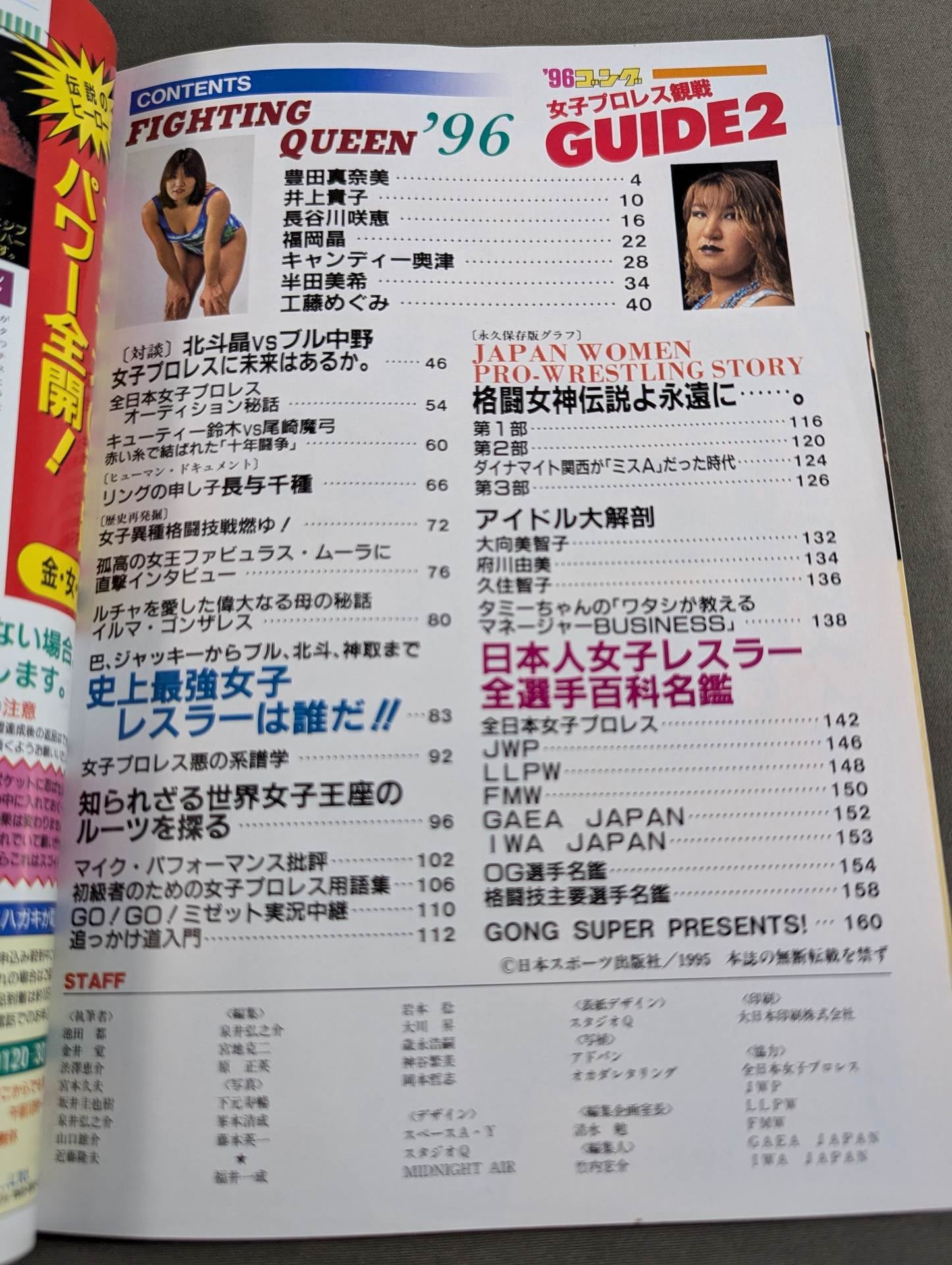 96 Gong Women's Pro Wrestling Perfect Guide 2