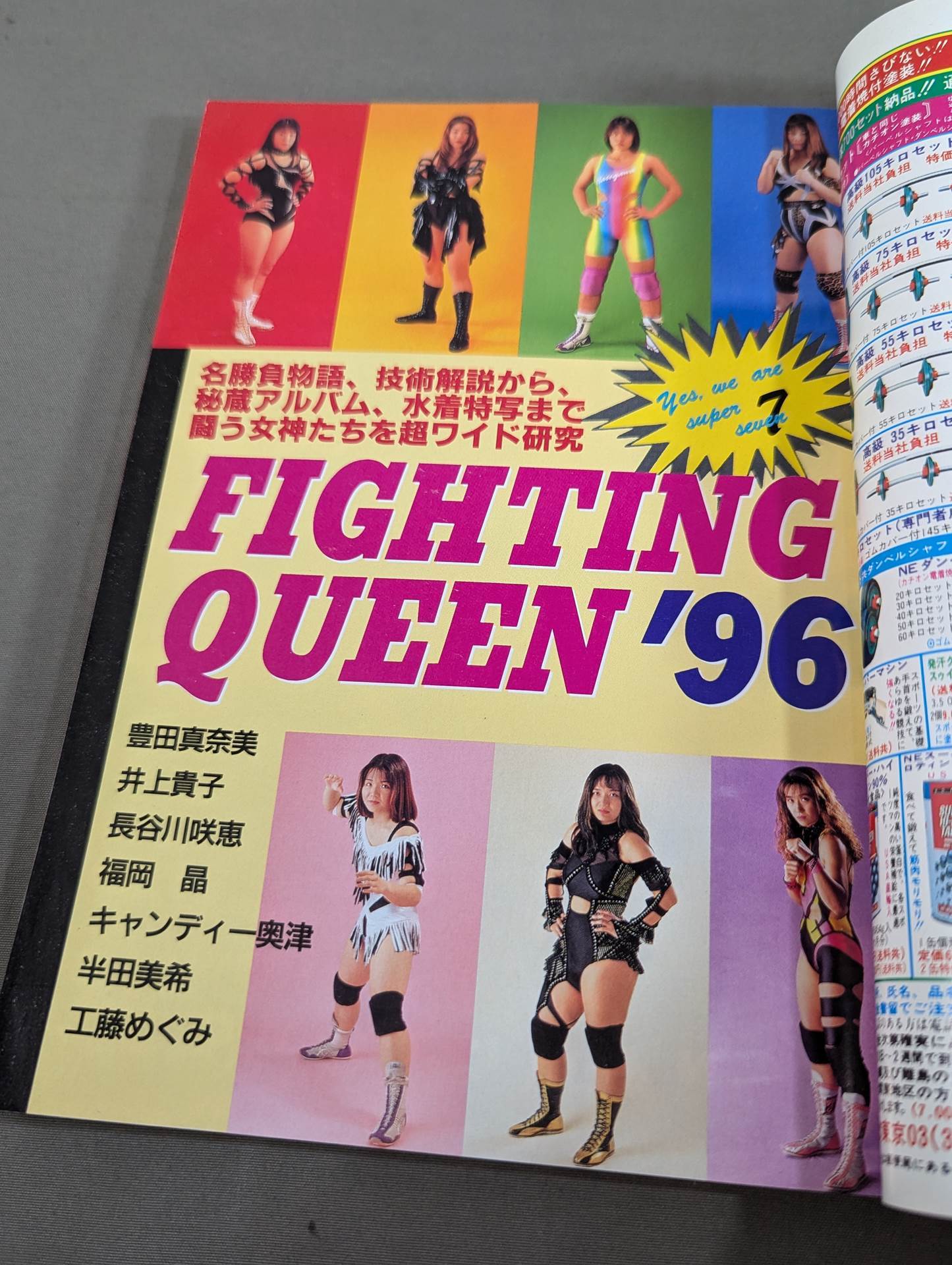 96 Gong Women's Pro Wrestling Perfect Guide 2