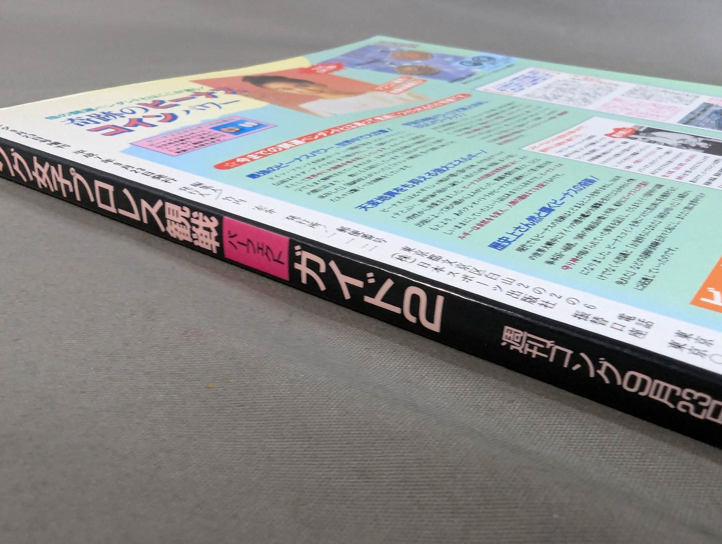 96 Gong Women's Pro Wrestling Perfect Guide 2