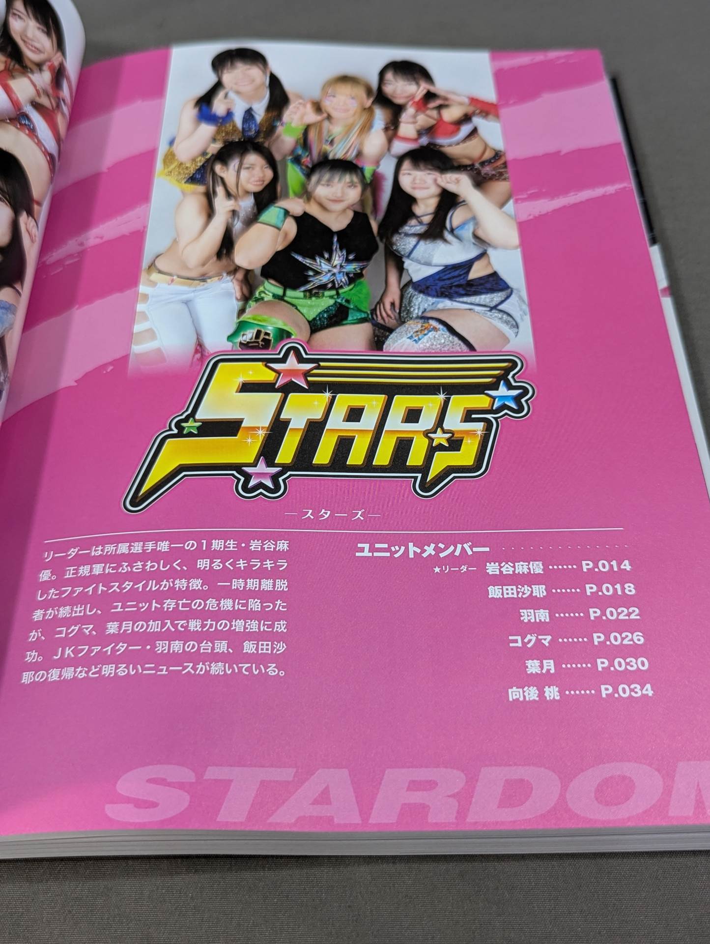STARDOM FANBOOK