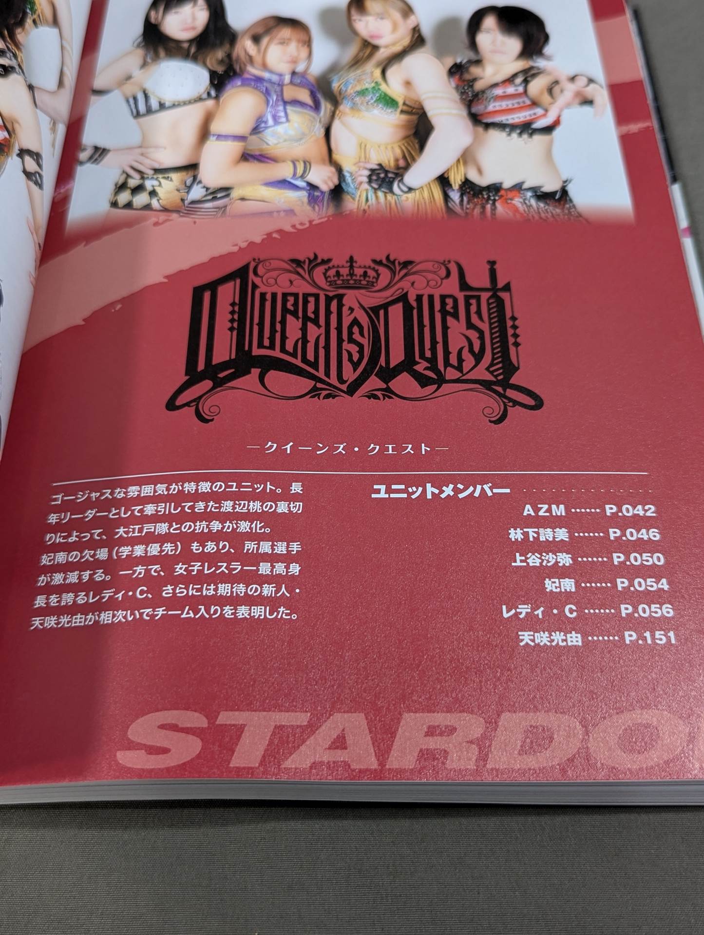 STARDOM FANBOOK