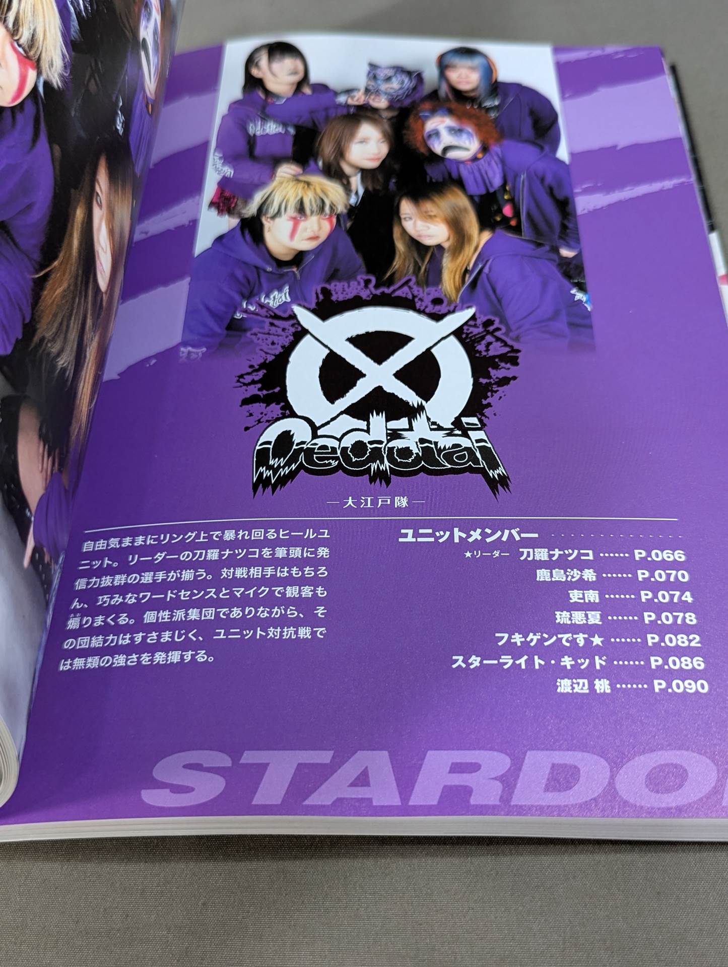STARDOM FANBOOK