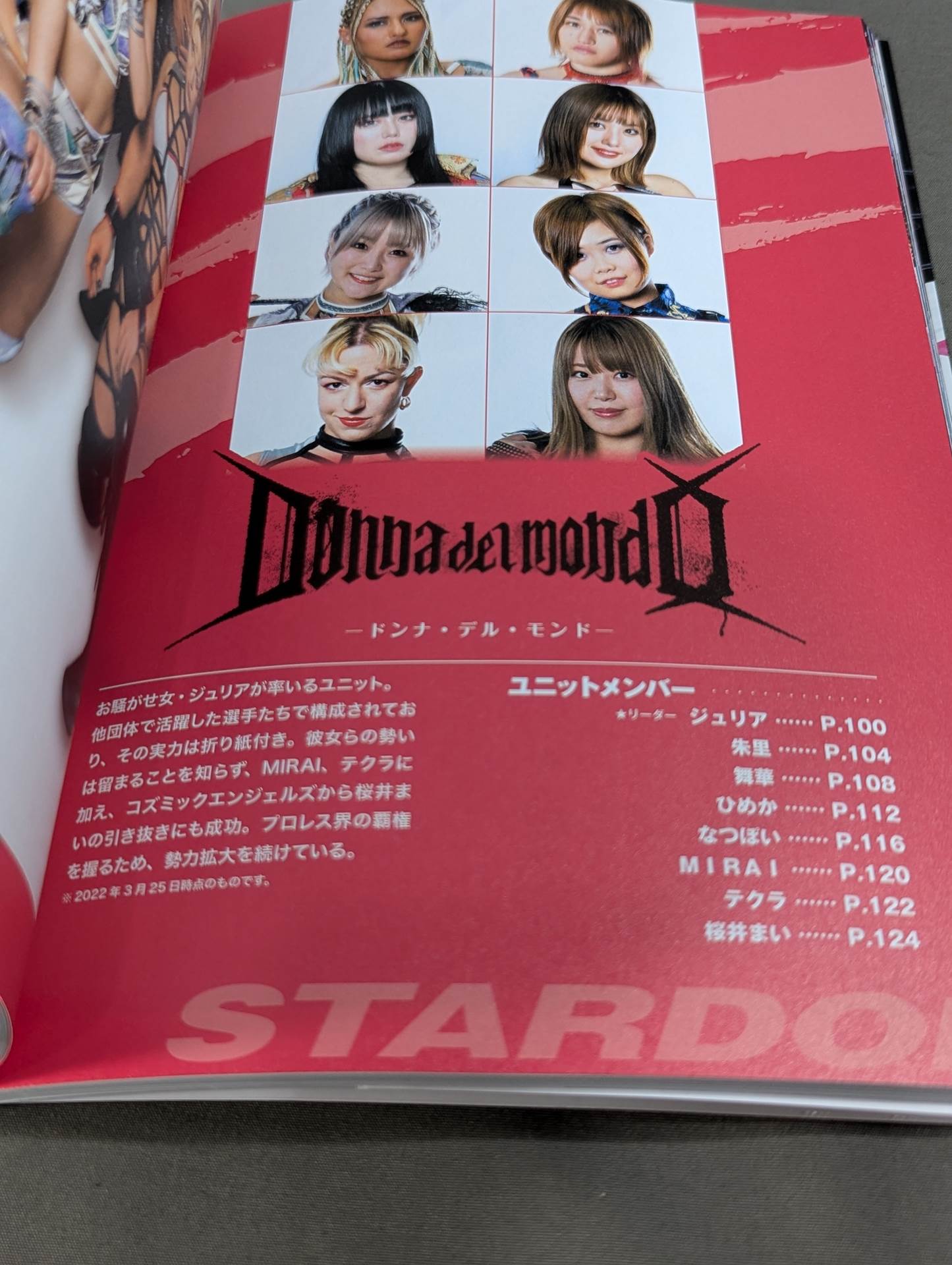 STARDOM FANBOOK
