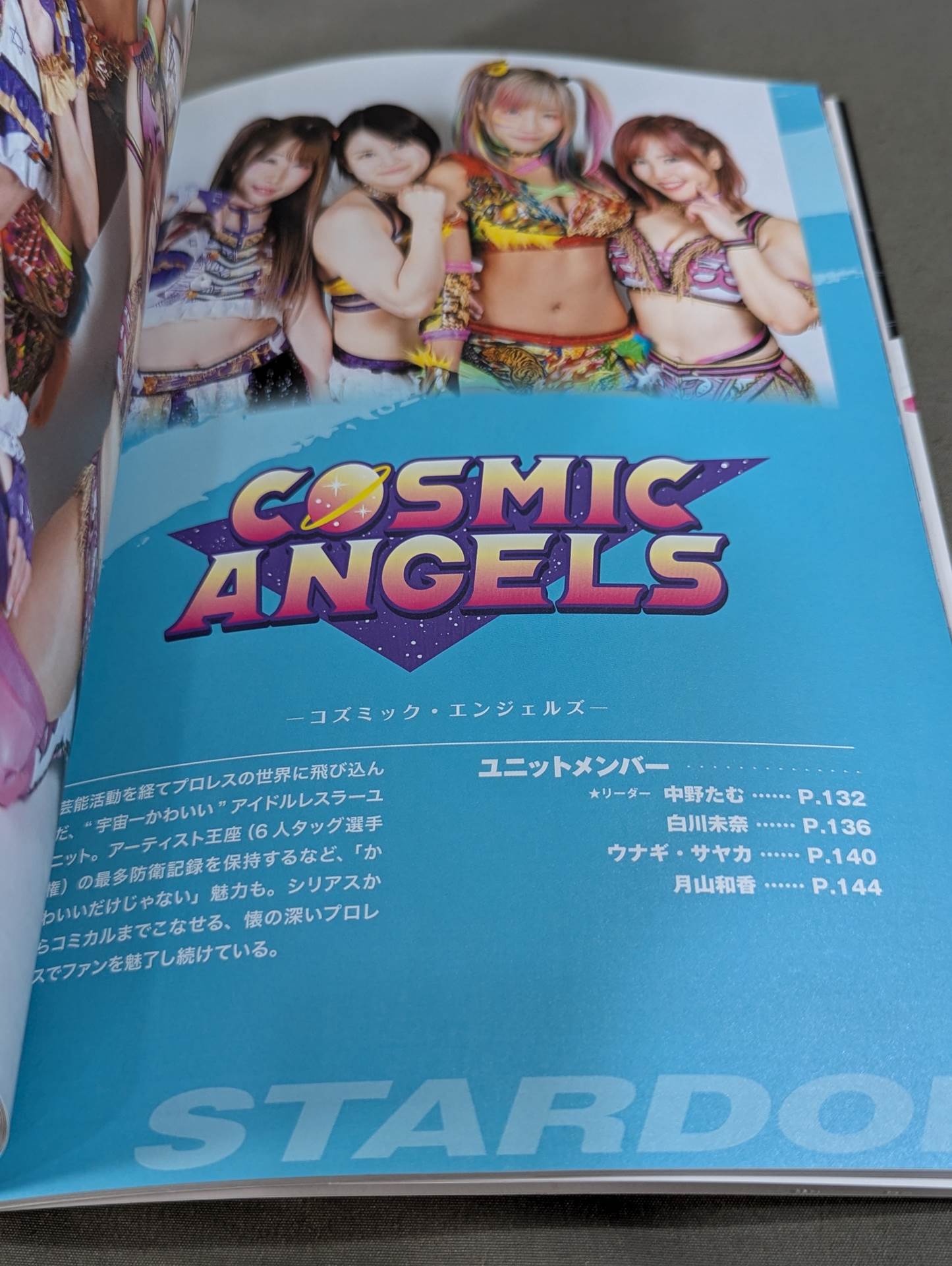 STARDOM FANBOOK